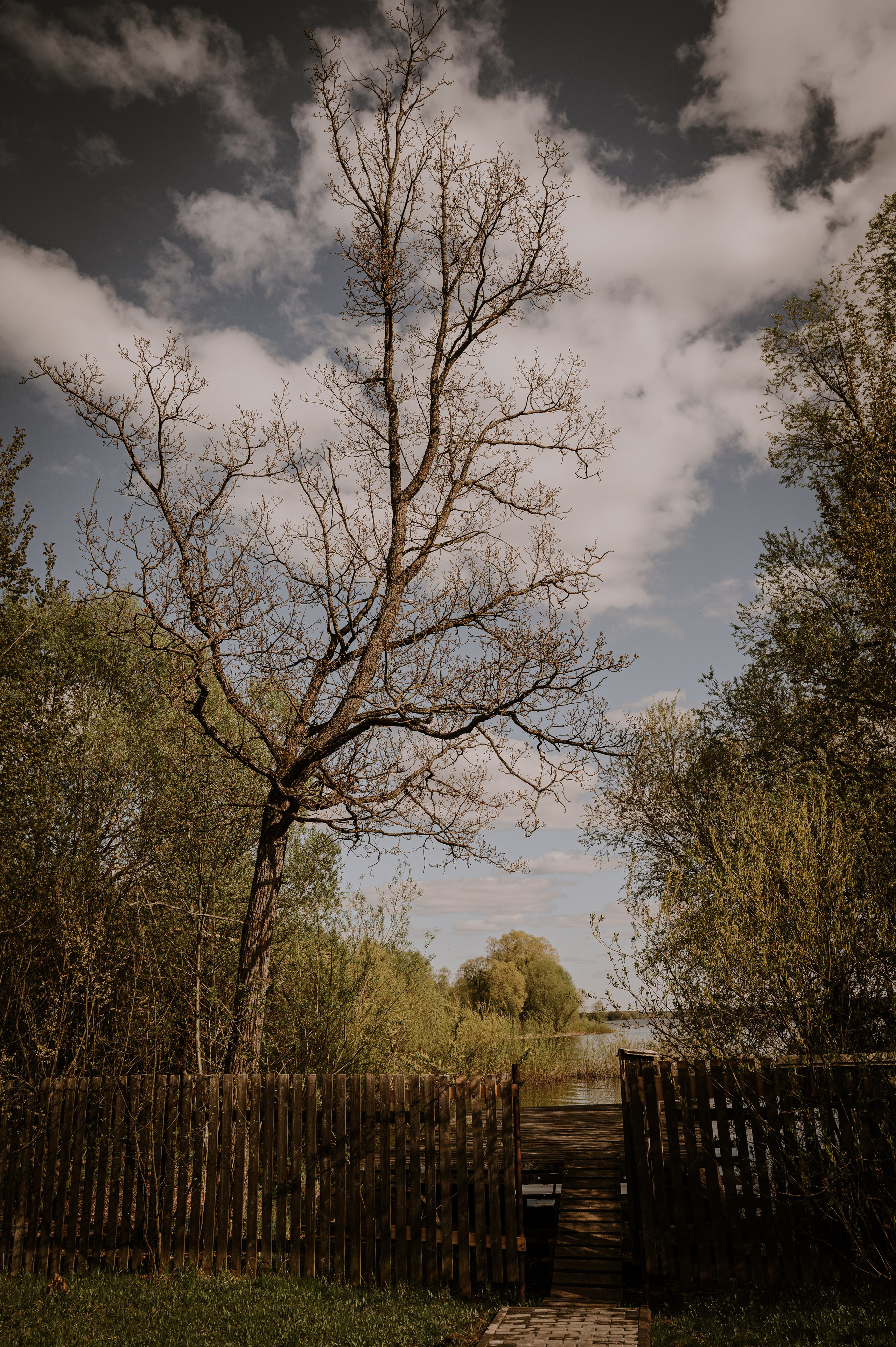 Контент съемка для Парк Отеля Красновидово (Можайск). Семейный фотограф Руслан Каримов Одинцово Москва