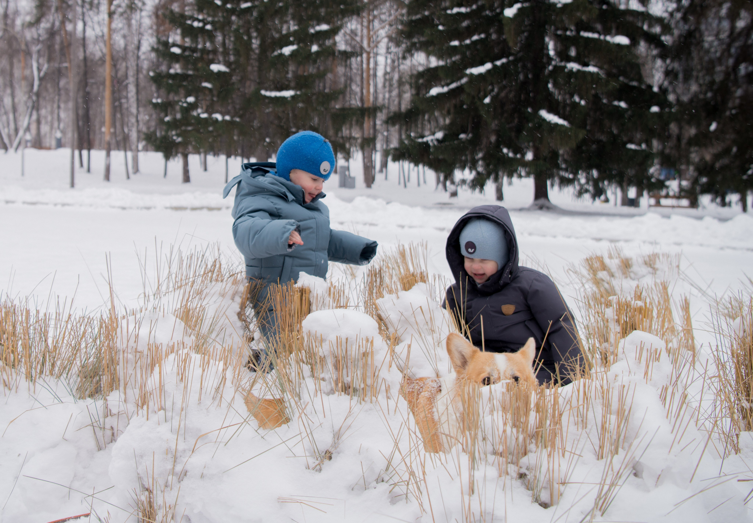 Зимняя прогулка. Семейный и детский фотограф в Екатеринбурге Наталия Акимова