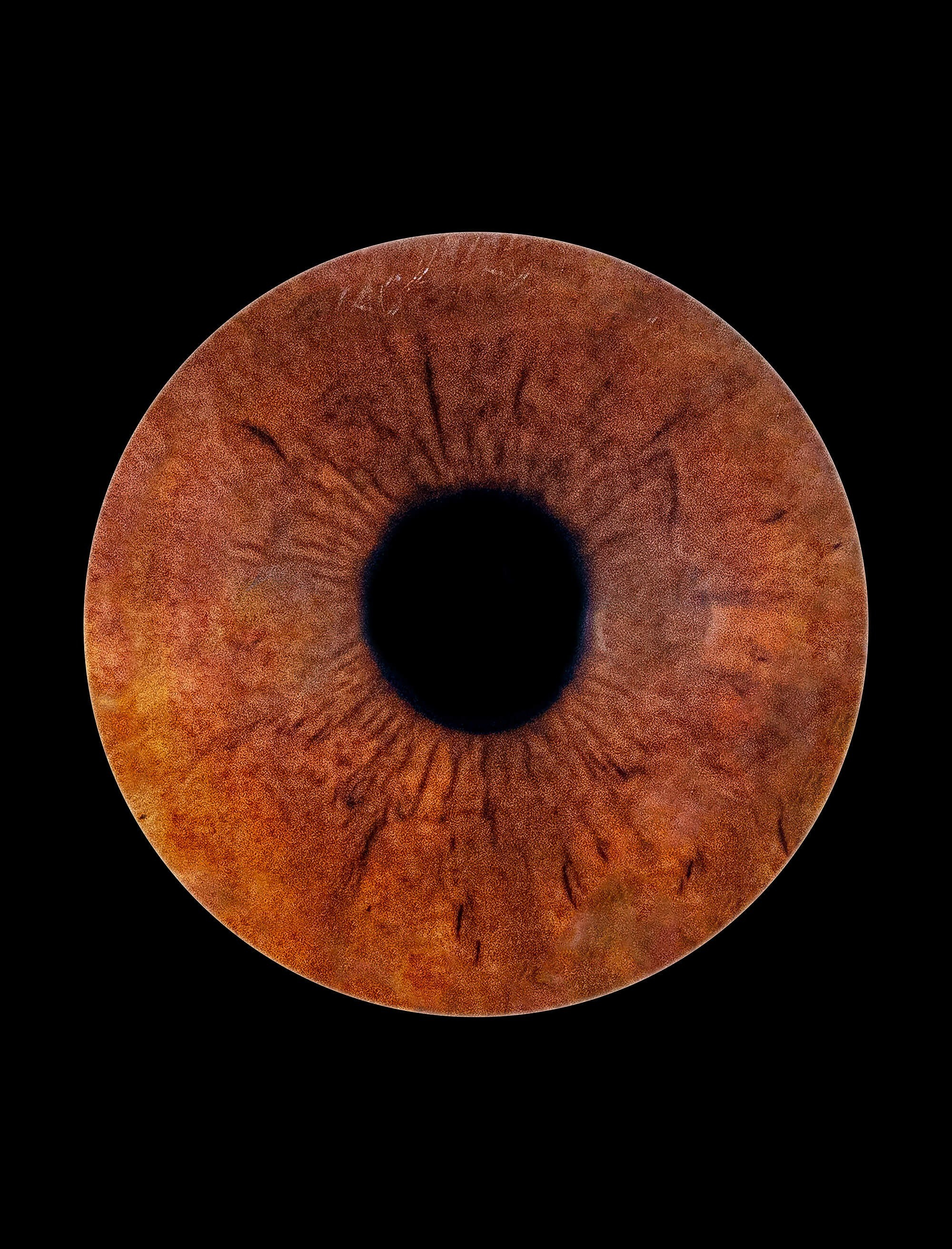 Фото радужки глаза. В МОМЕНТЕ — фотостудия в г. Ставрополь