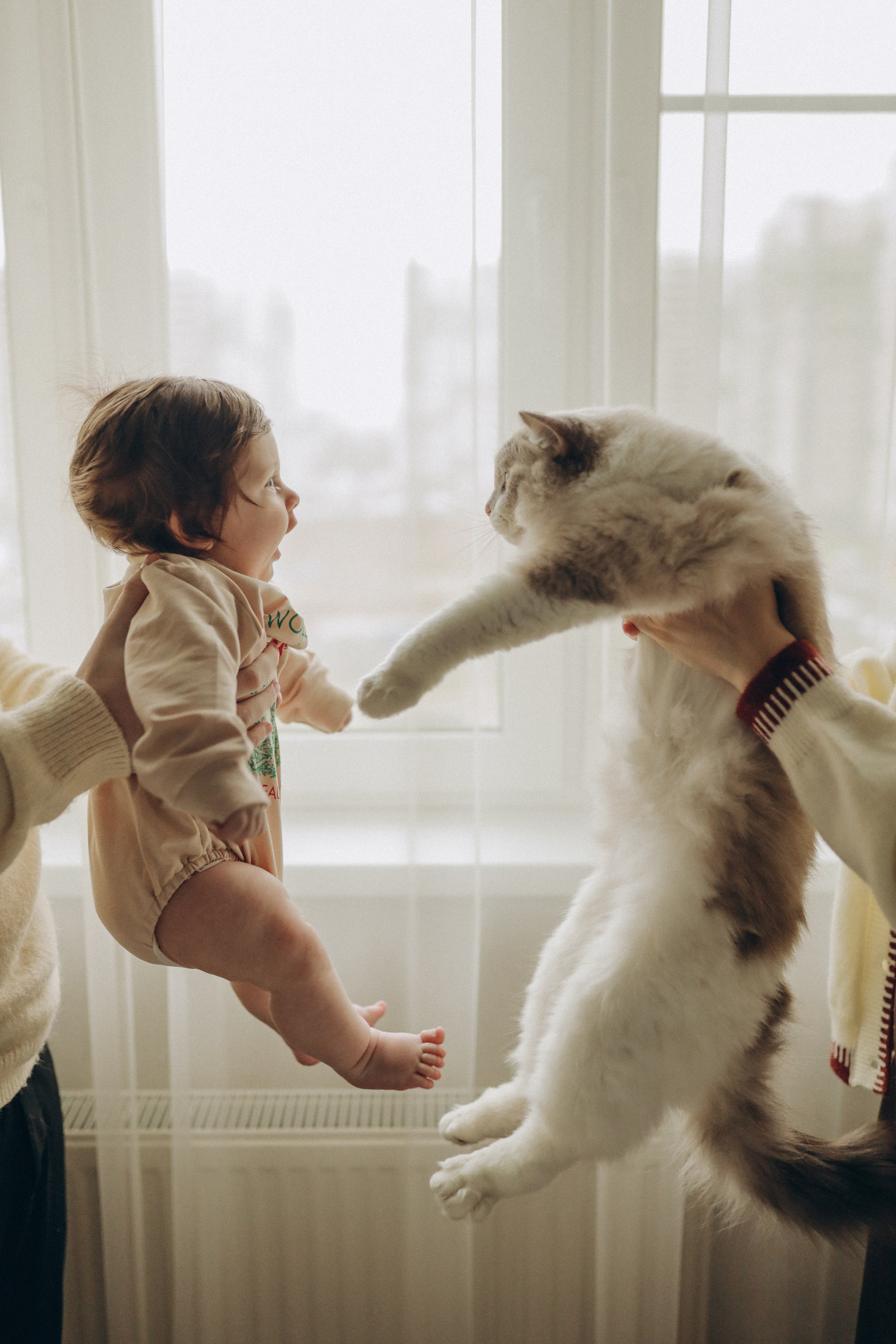 Виды фотосессий. Семейная, свадебная, таинство. Семейный и свадебный фотограф Москва Коломна Рязань Санкт-Петербург