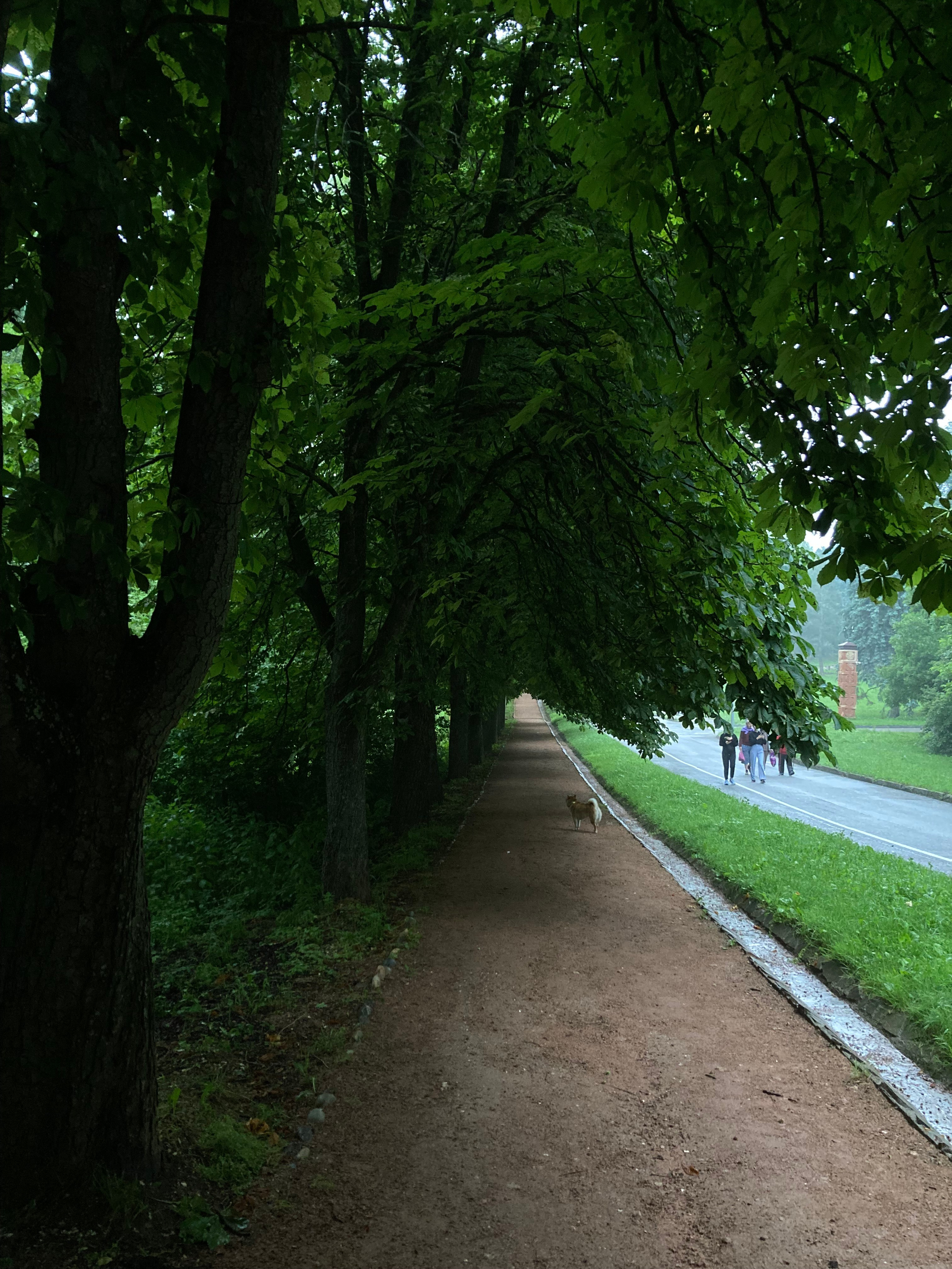 Кисловодск. Смотри, красота!