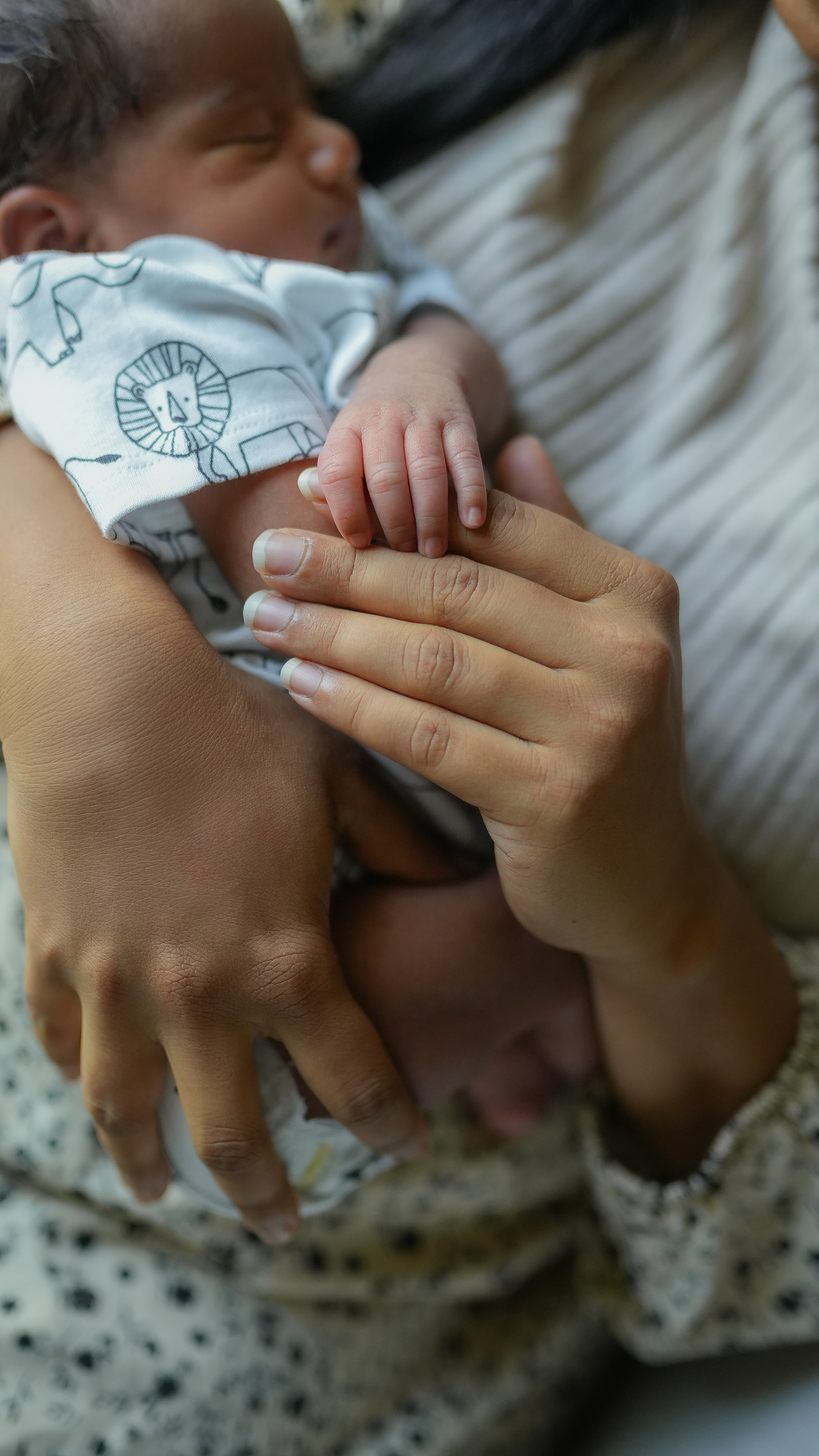 Heartfelt family memories — cozy newborn session