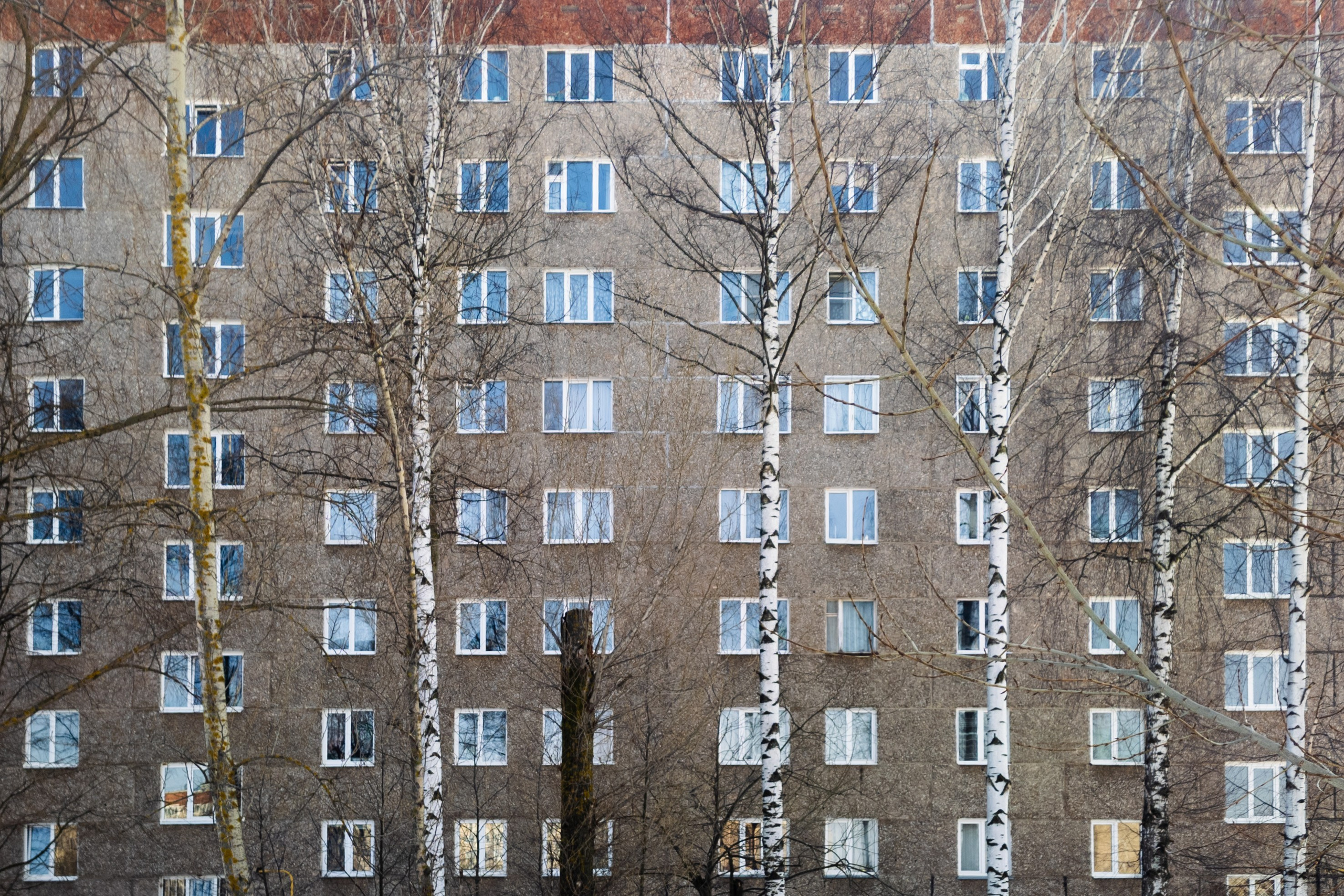 Родные узоры. Россия. Олег Романов. Мастер фото по спорту