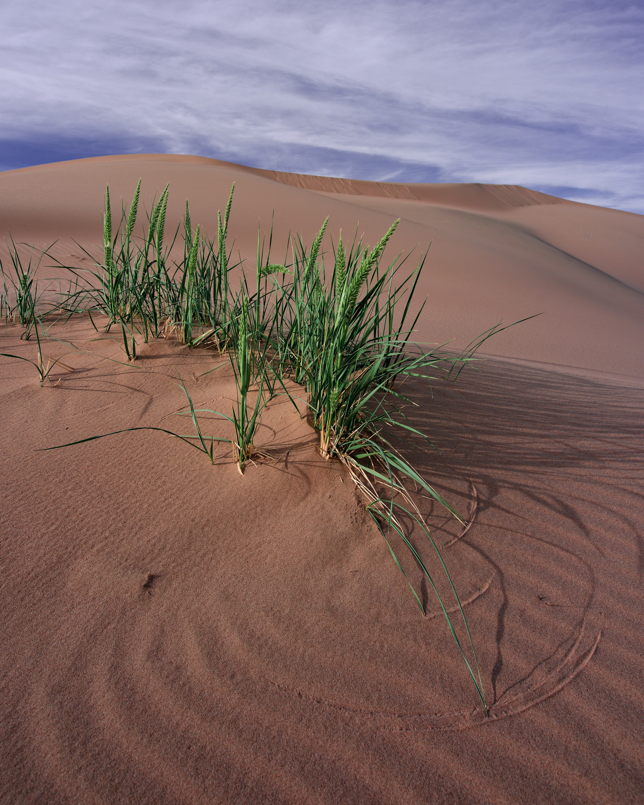 Экспедиция в Монголию (котловина больших озер). Семоха Валерий. Фотограф