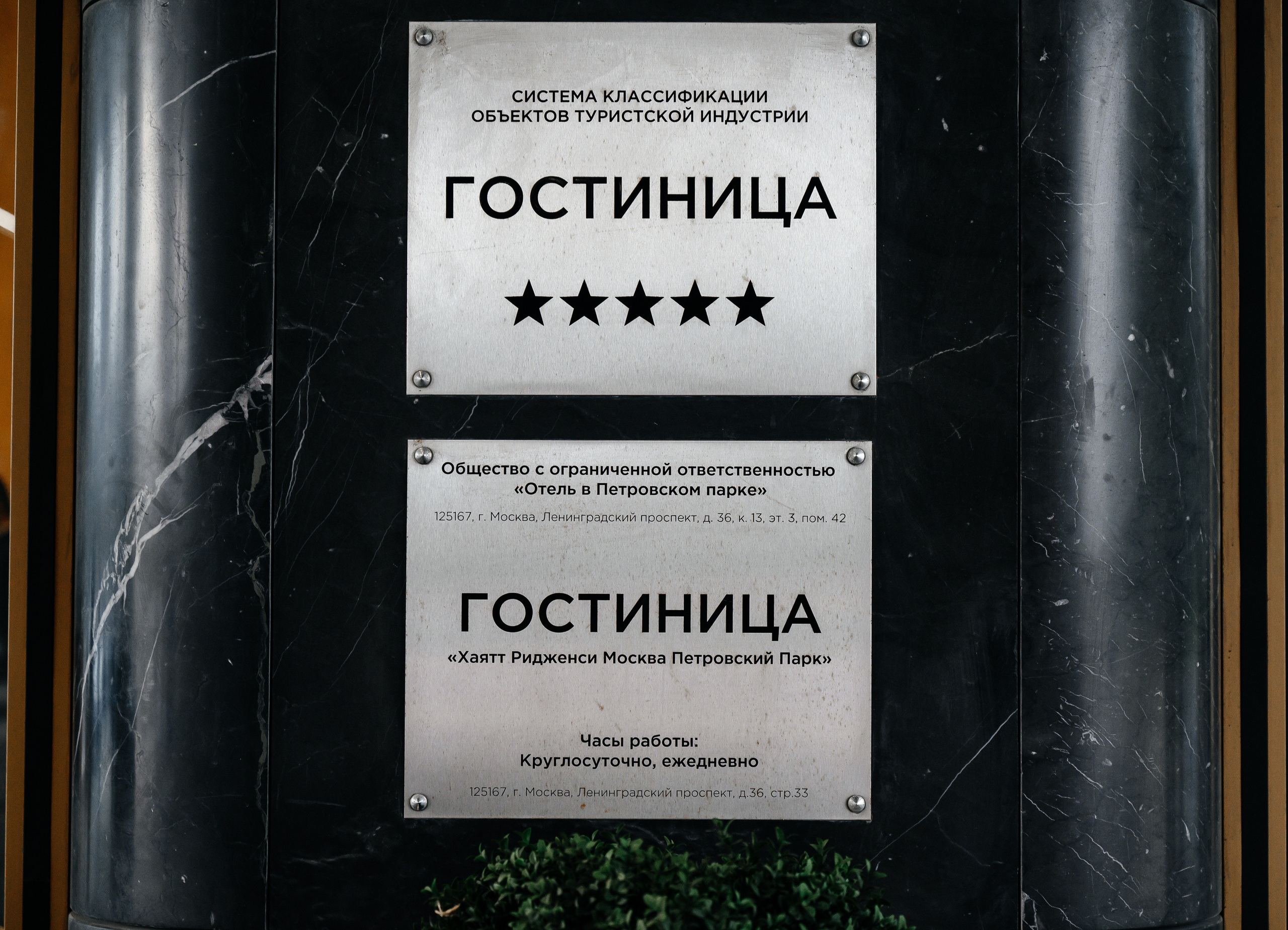 Тома + Антон. Свадебный видеограф и фотограф в Москве Никонова Анна