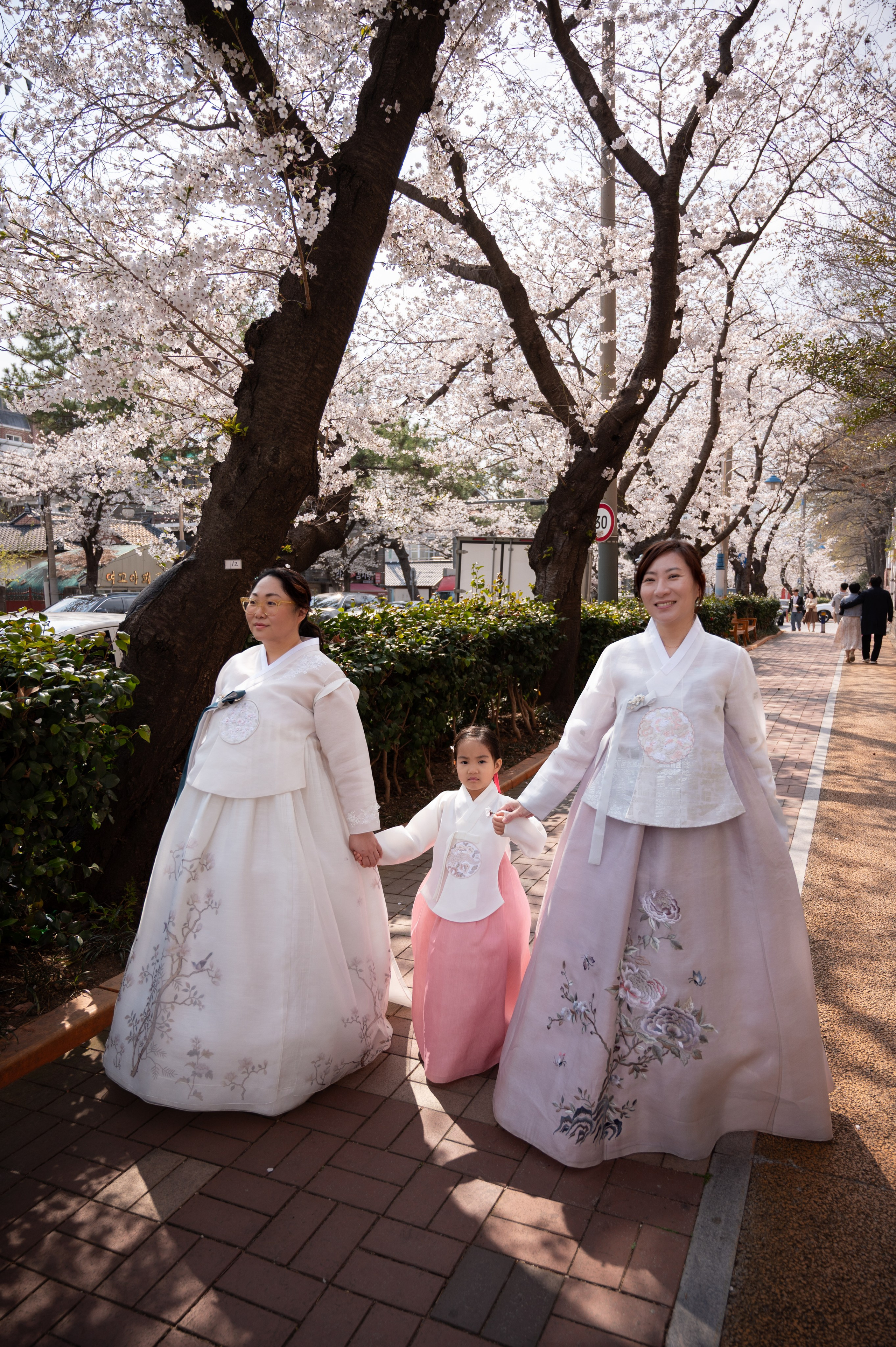 Family in hanbok under blooming cherry blossoms in Busan · 釜山 旅行フォト