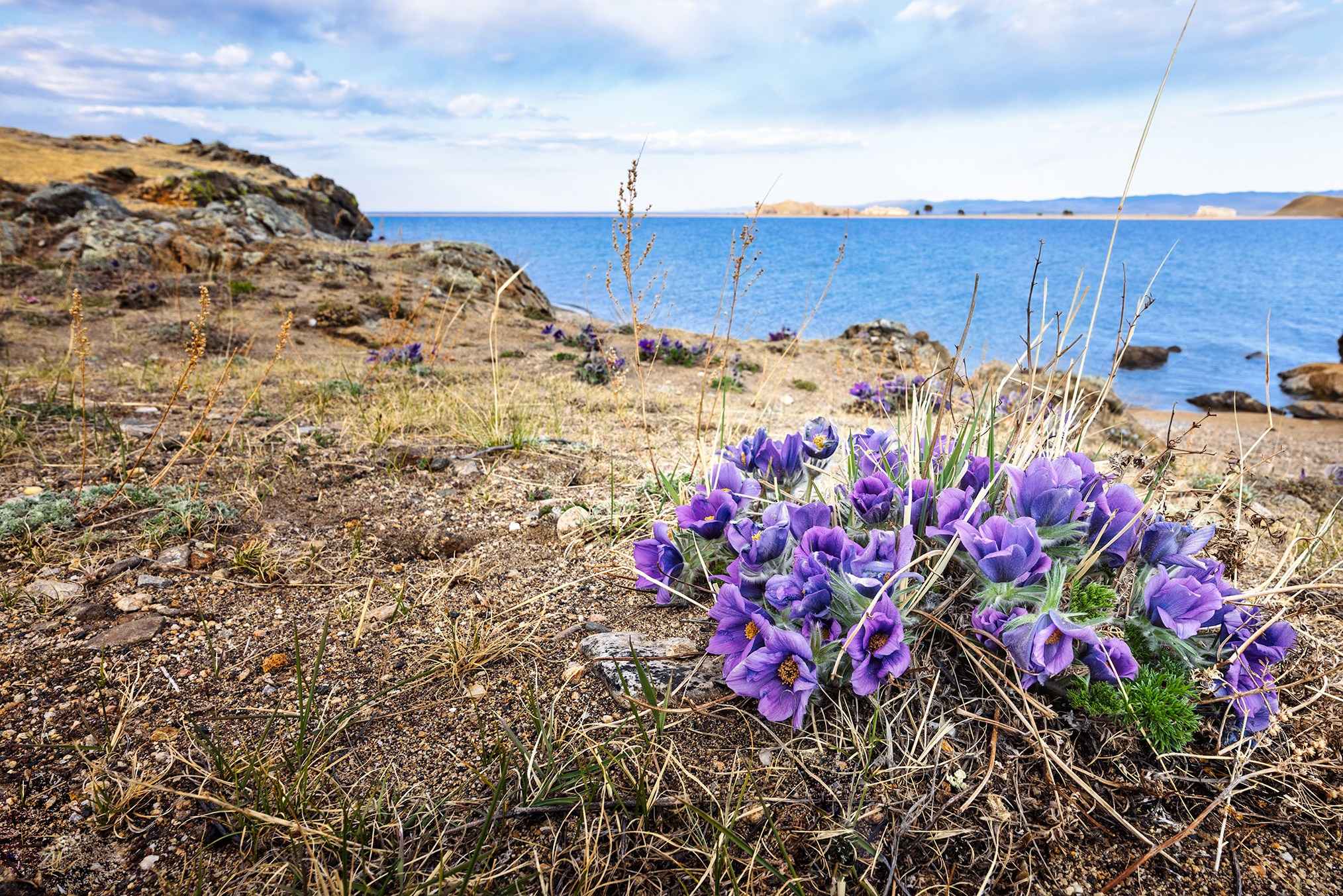 Сибирь. High-quality interior photos for your home, office, hotel