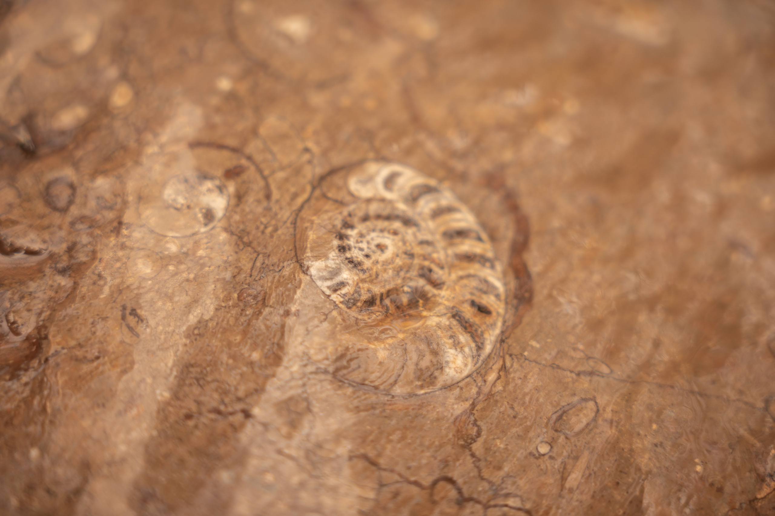 Марокко. Илья Варин — Фотограф Москва, Тверь