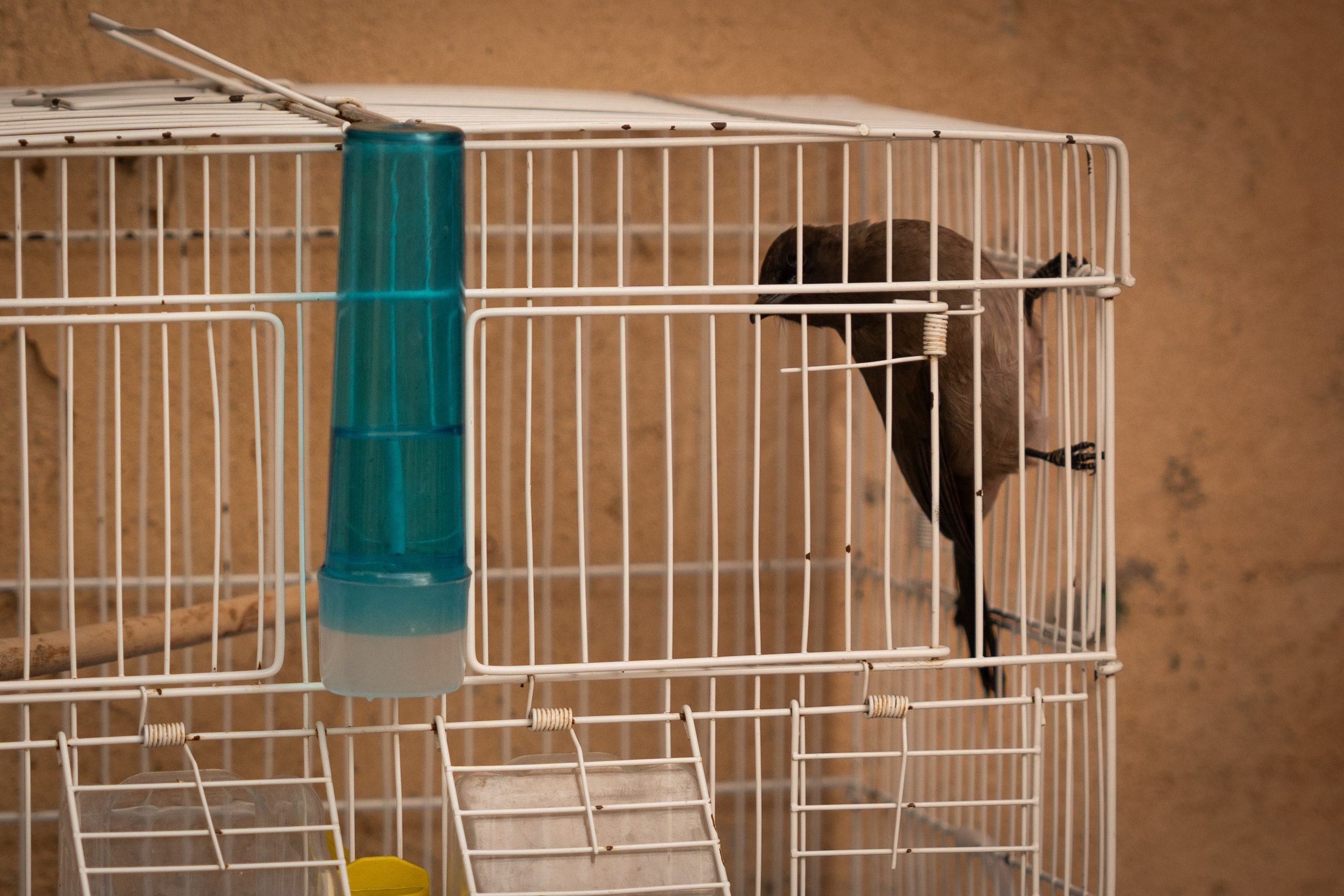 Марокко. Илья Варин — Фотограф Москва, Тверь