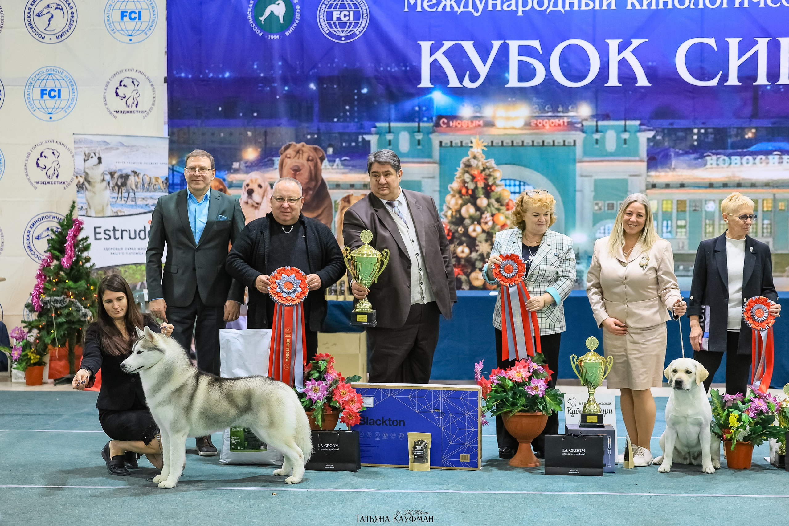 Фотосессия Малинуа. Фотограф Анималист из Новосибирска Татьяна Кауфман