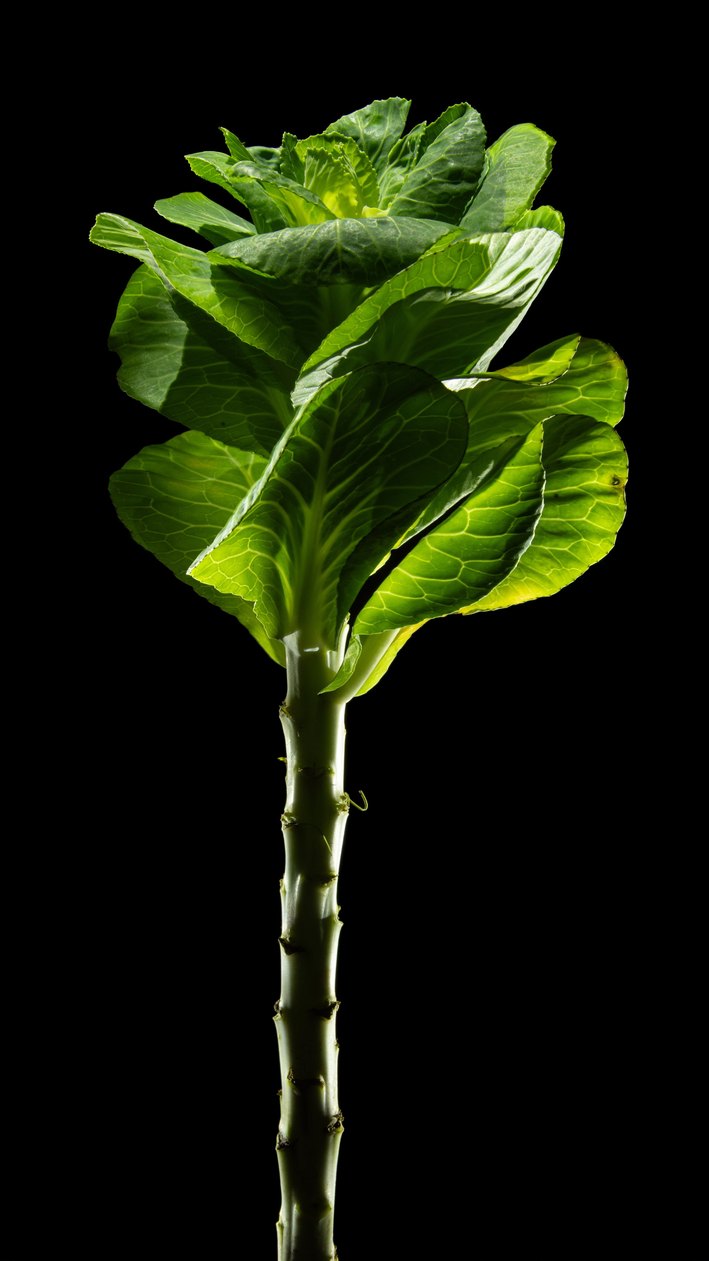 Проекты. Sakunov Photo