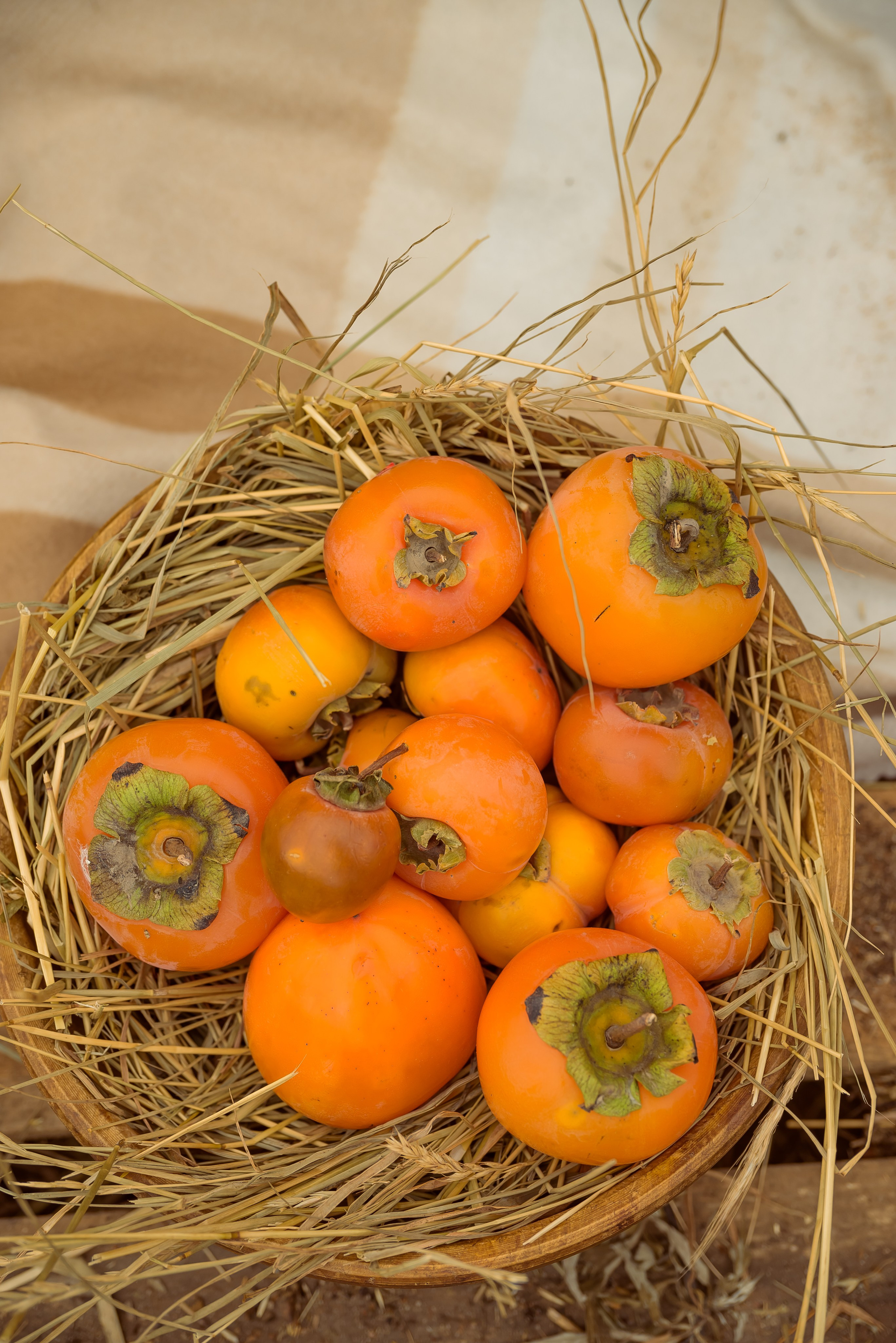 Контент-фотосессия для фотографа. Фотограф Ирина Богатырева