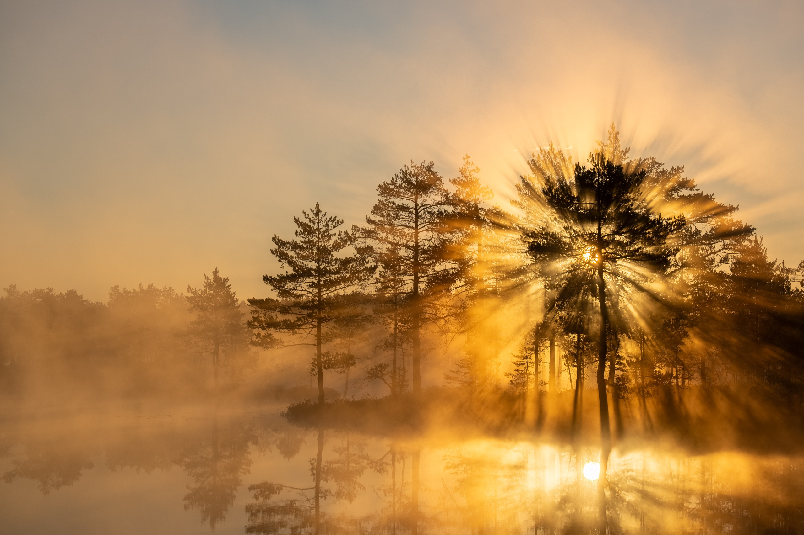 Галерея работ в жанре пейзажа, городского пейзажа и архитектуры. Покупка лицензий для коммерческого использования. Интерьерный фотограф в Санкт-Петербурге Михаил Азаров. Печать и продажа фотографий