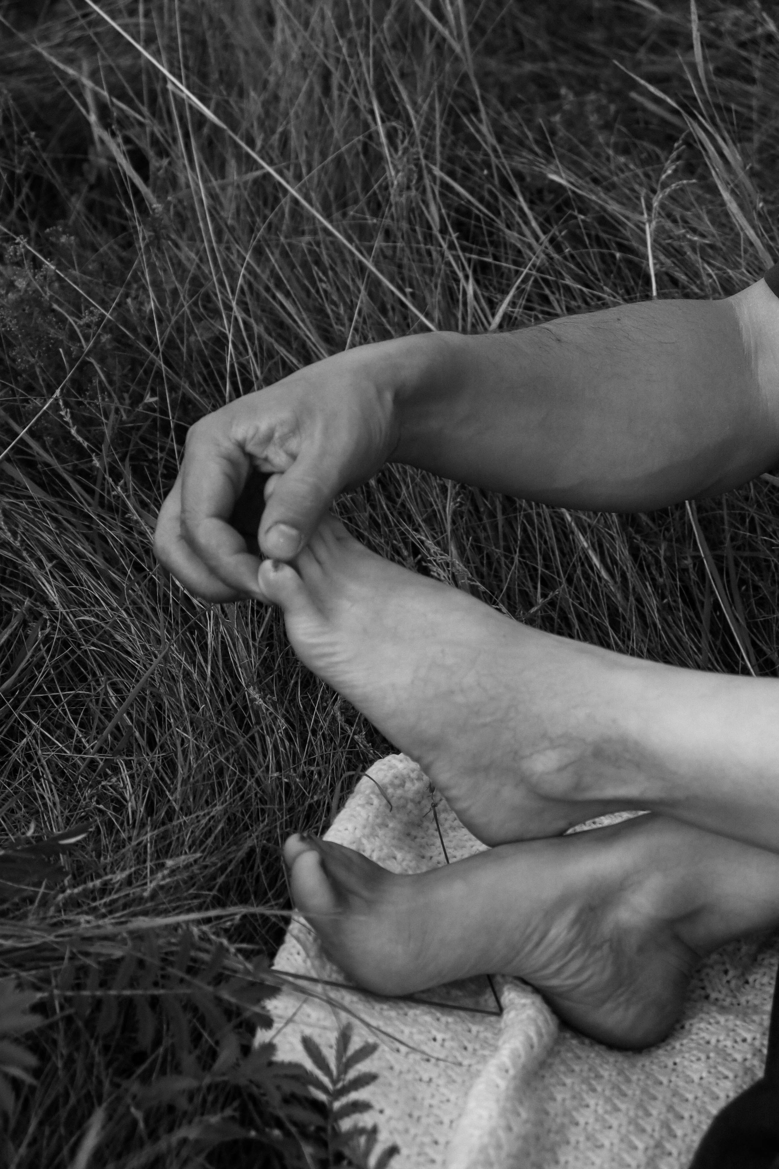 Семья в поле. Фотограф Александра Коновалова