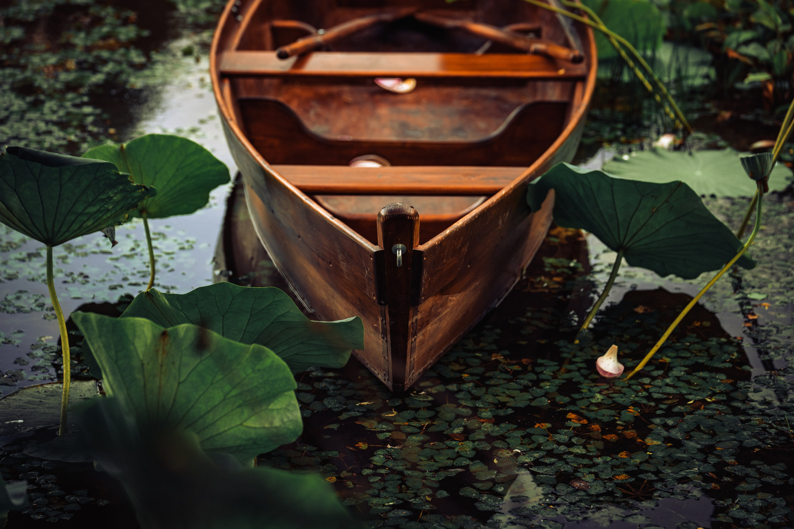 Пруд «Семейный» | с. Петровка. Иван Зайцев (IZIART) — создание культурного кода через фото и видео