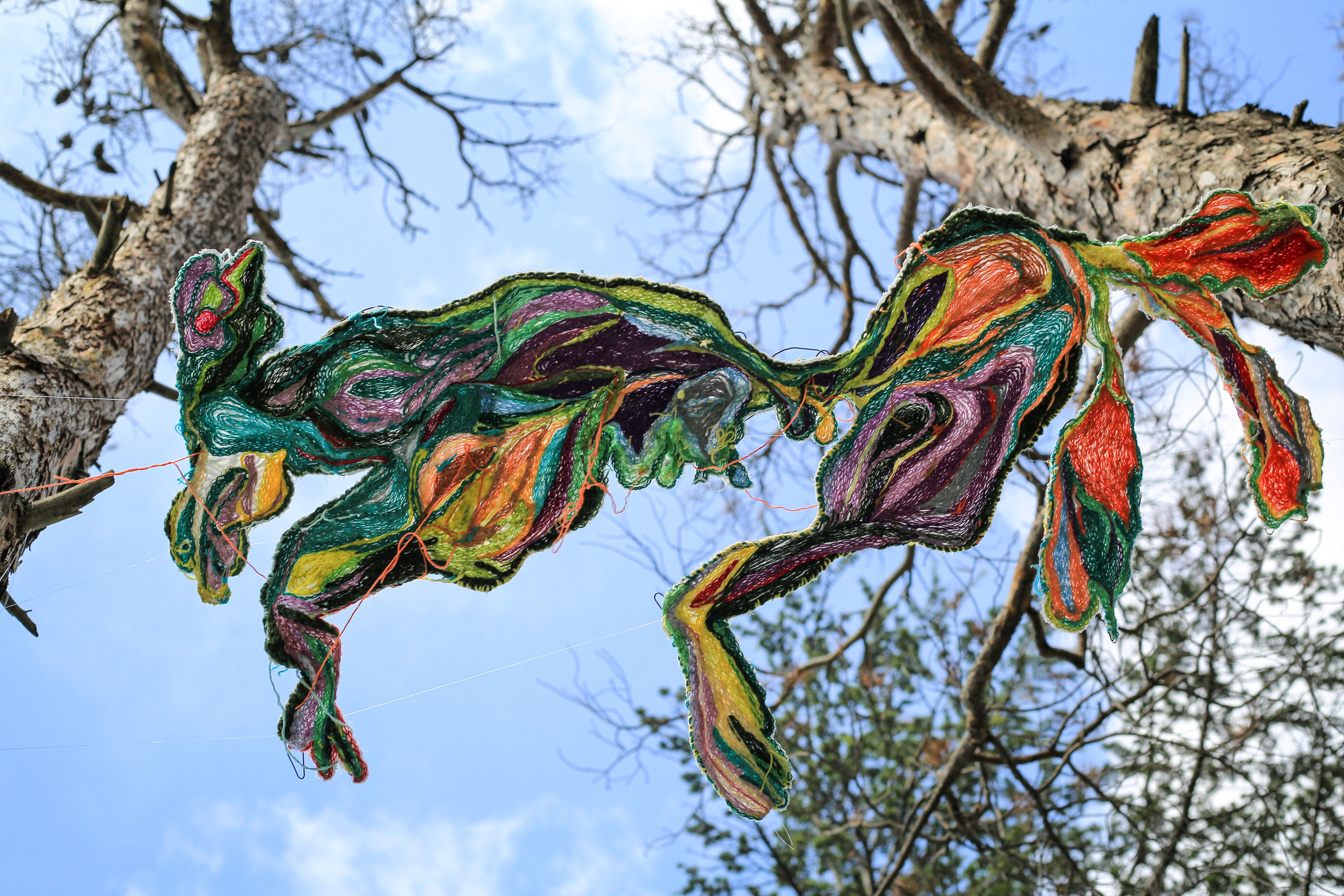 The exhibition under trees. KST