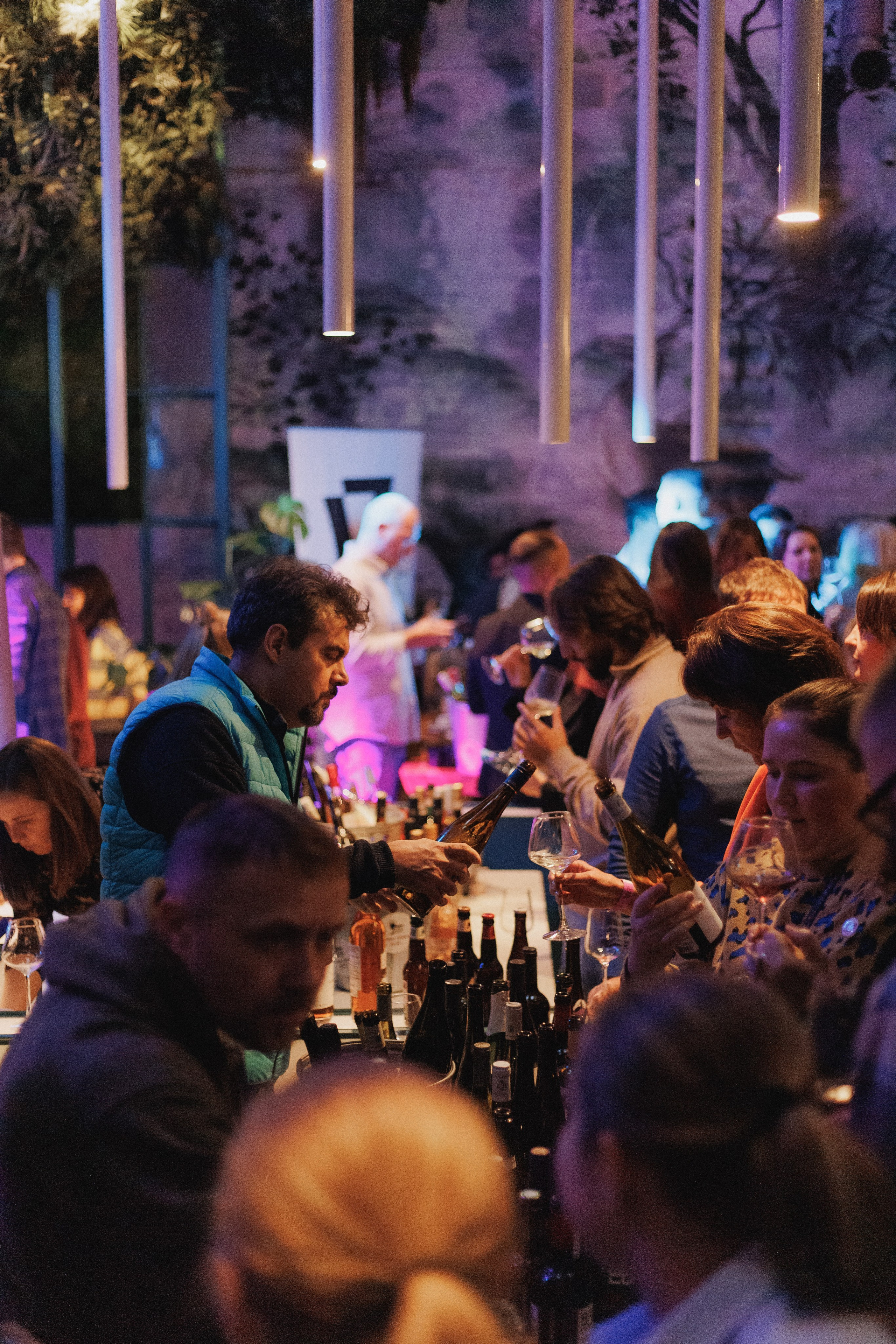 ВИННЫЙ ФЕСТИВАЛЬ. СВОИ. ФОТООТЧЕТЫ-СОБЫТИЯ-МЕСТА