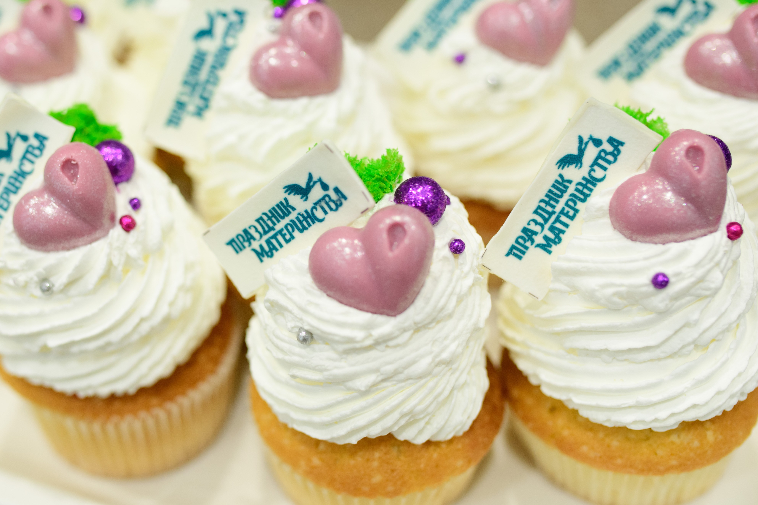 Фотоотчет праздника материнства ноябрь 2024 г. Профессиональный фотограф Елена Красилина г.Ярославль, г. Рыбинск