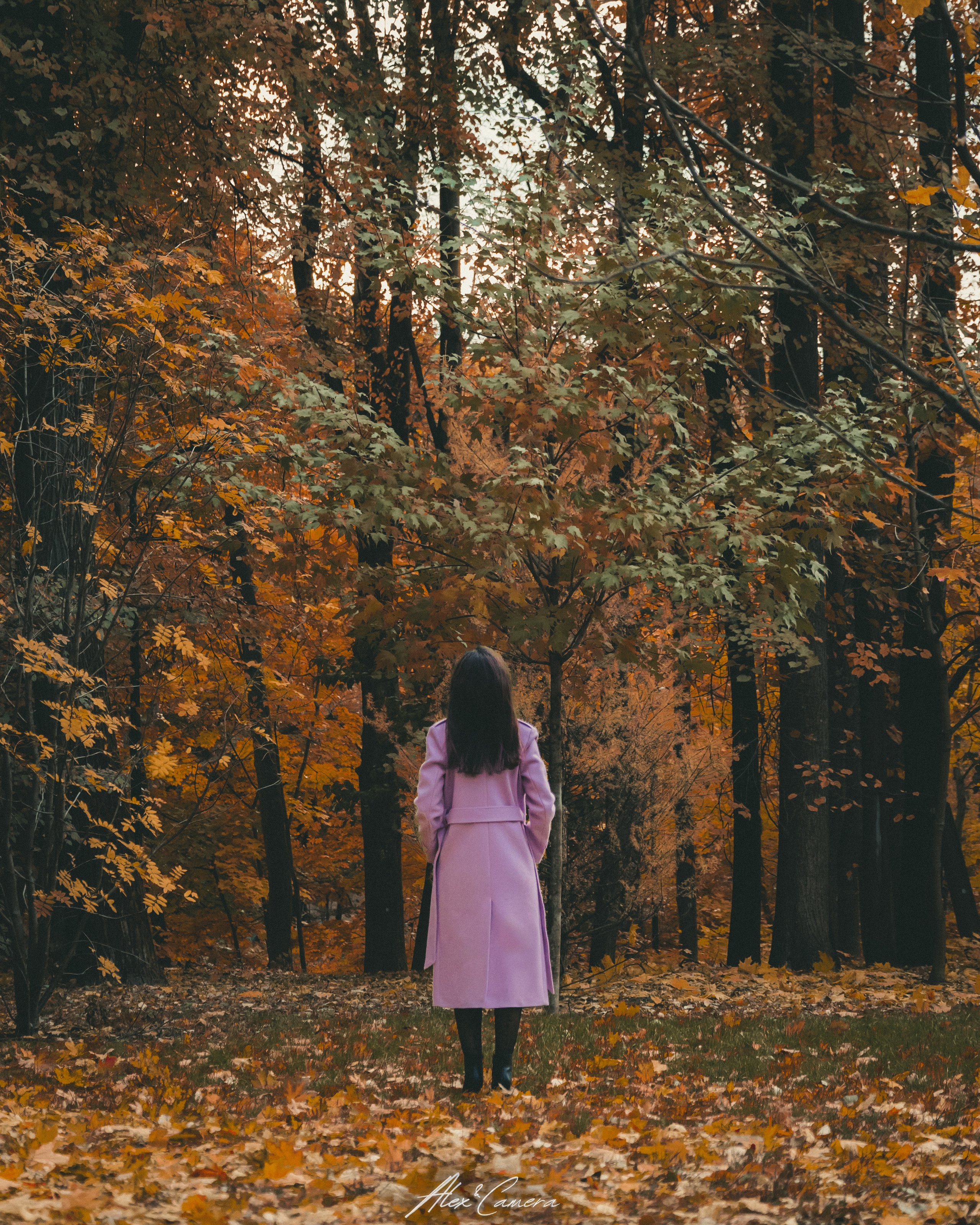 Осень в разгаре!. Alex&Camera Photography