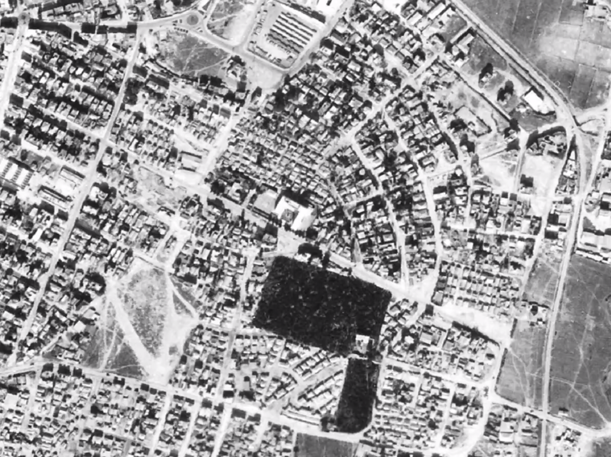 The White Elephant. Artist Margarita Gusak