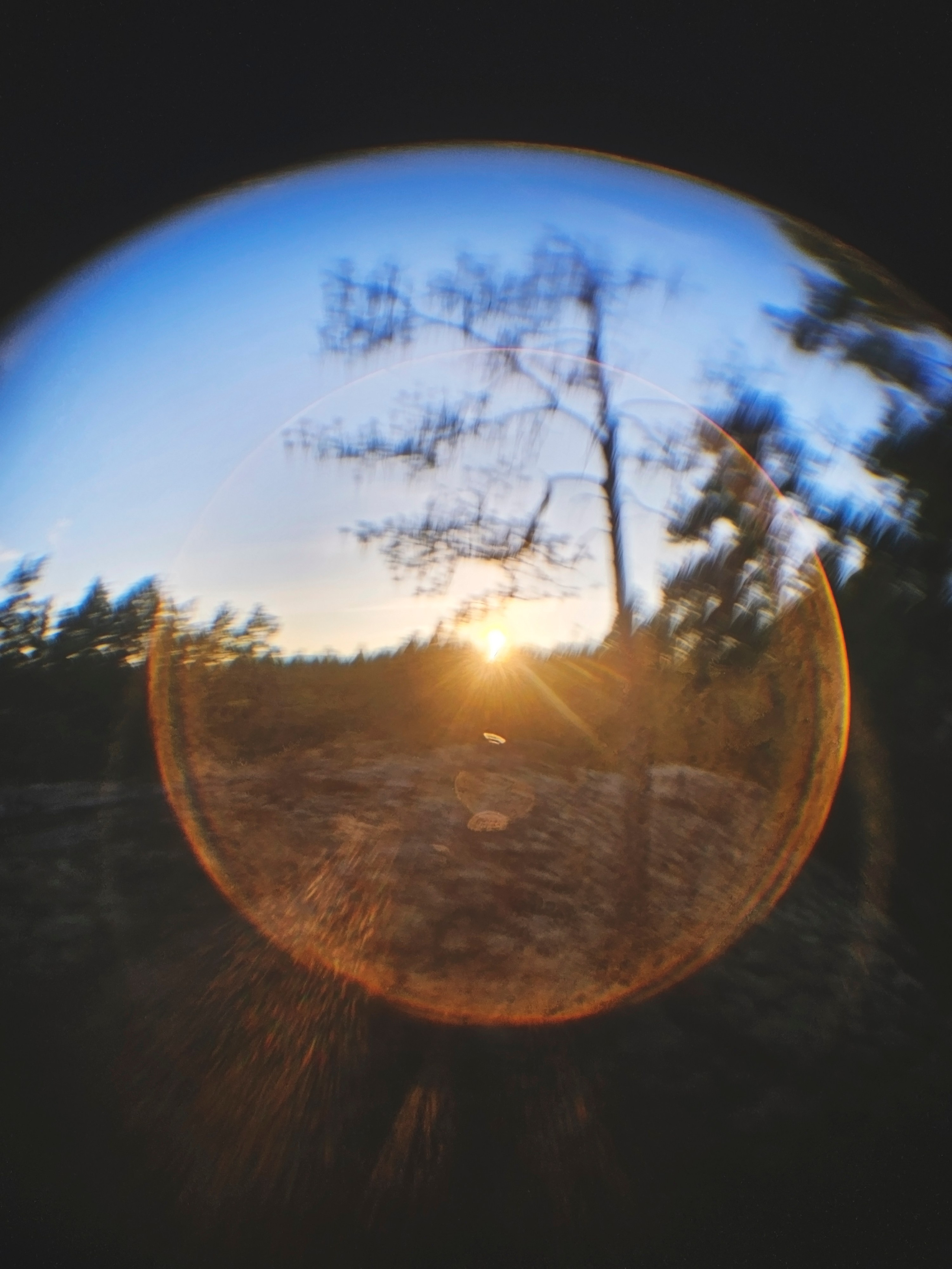 ФОТОГРАФИЯ. CONTEMPORARY ARTIST OLGA ANDRIYASH