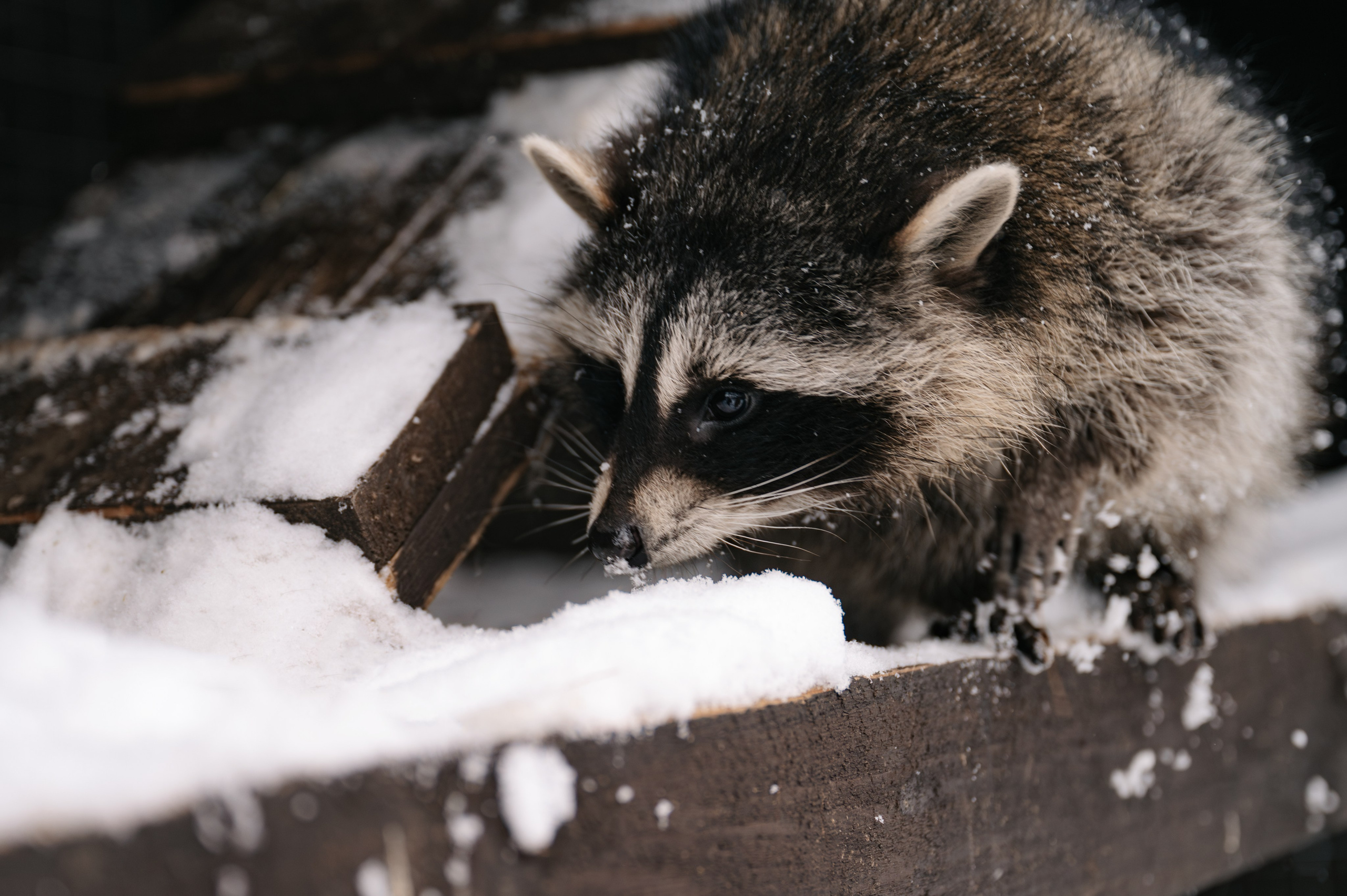 Фотосъемка для наполнения сайта загородного отеля Барин. Свадебный и семейный фотограф Виктория Носачёва. Щелково, Москва и МО