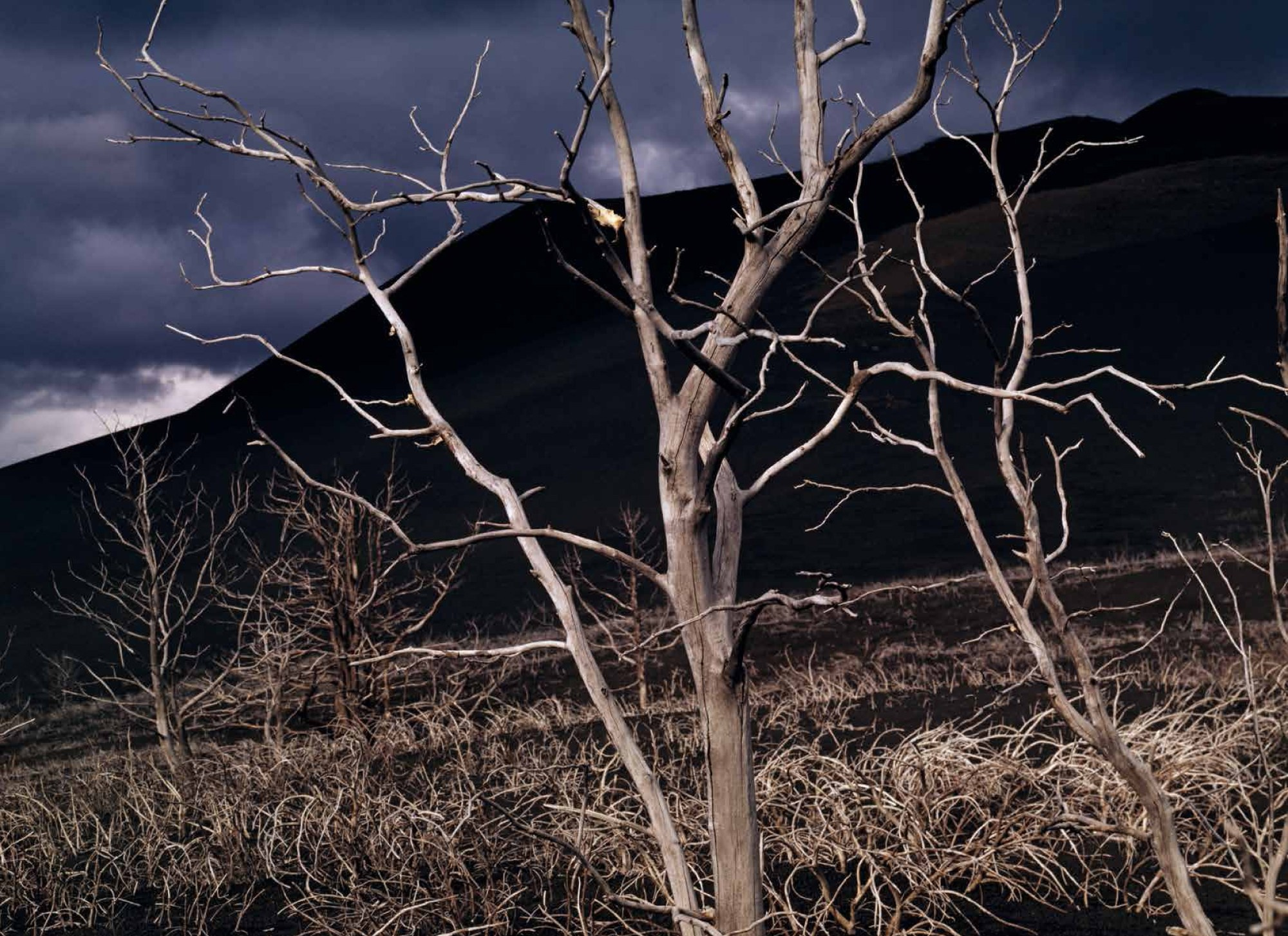 Коллекционные альбомы. ВАДИМ ГИППЕНРЕЙТЕР — ВЕЛИКИЙ ФОТОГРАФ ЗЕМЛИ РУССКОЙ