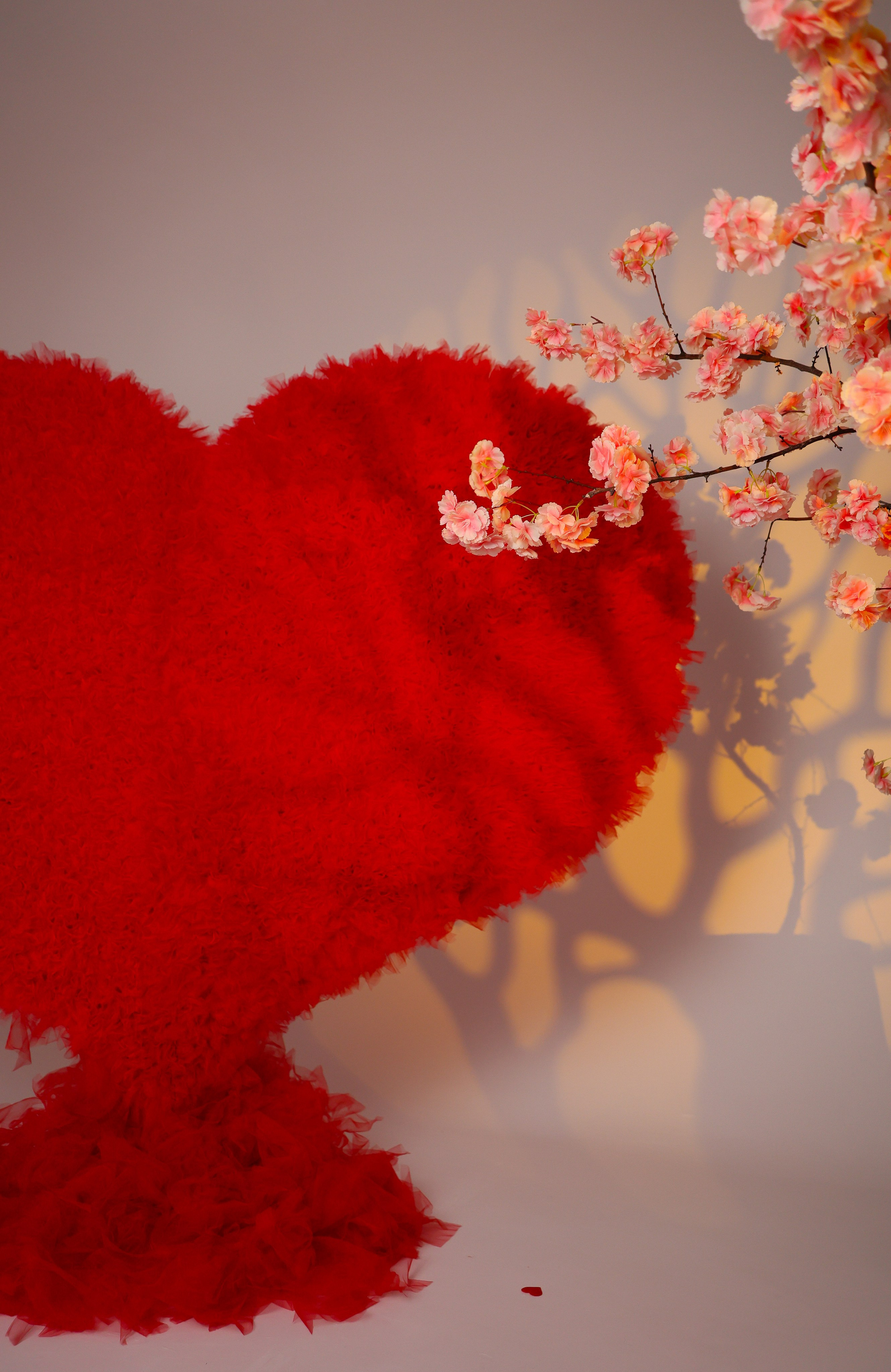 Фотостудия в Краснодаре