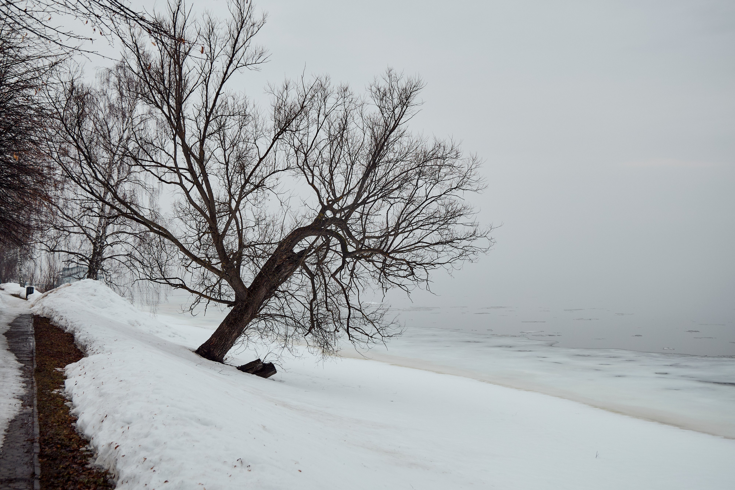 Дискуссионный клуб «Попутного ветра» | Левитановский культурный центр. Плёс. OSPhoto