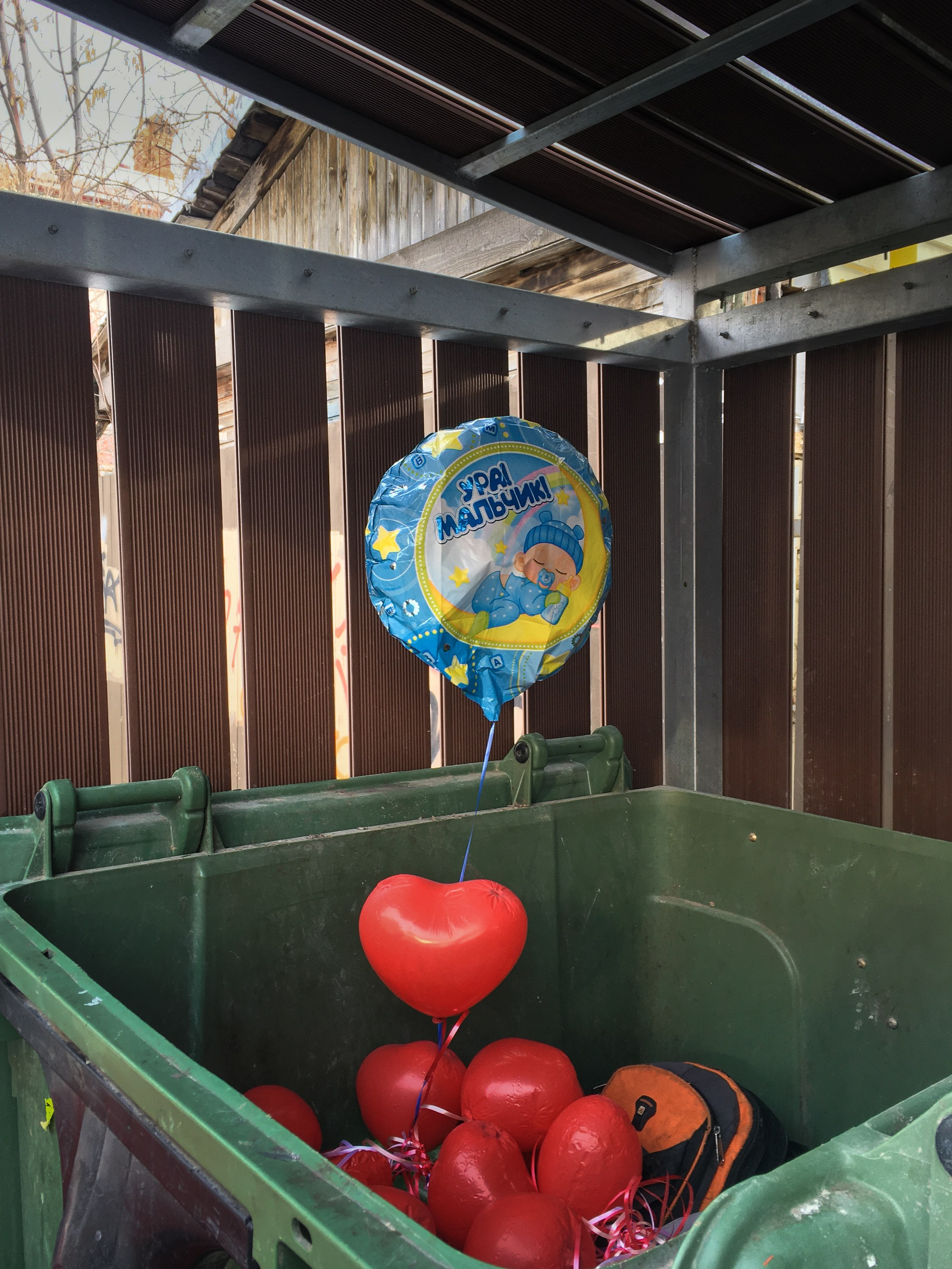 Предвзятая действительность. Дима Птицын