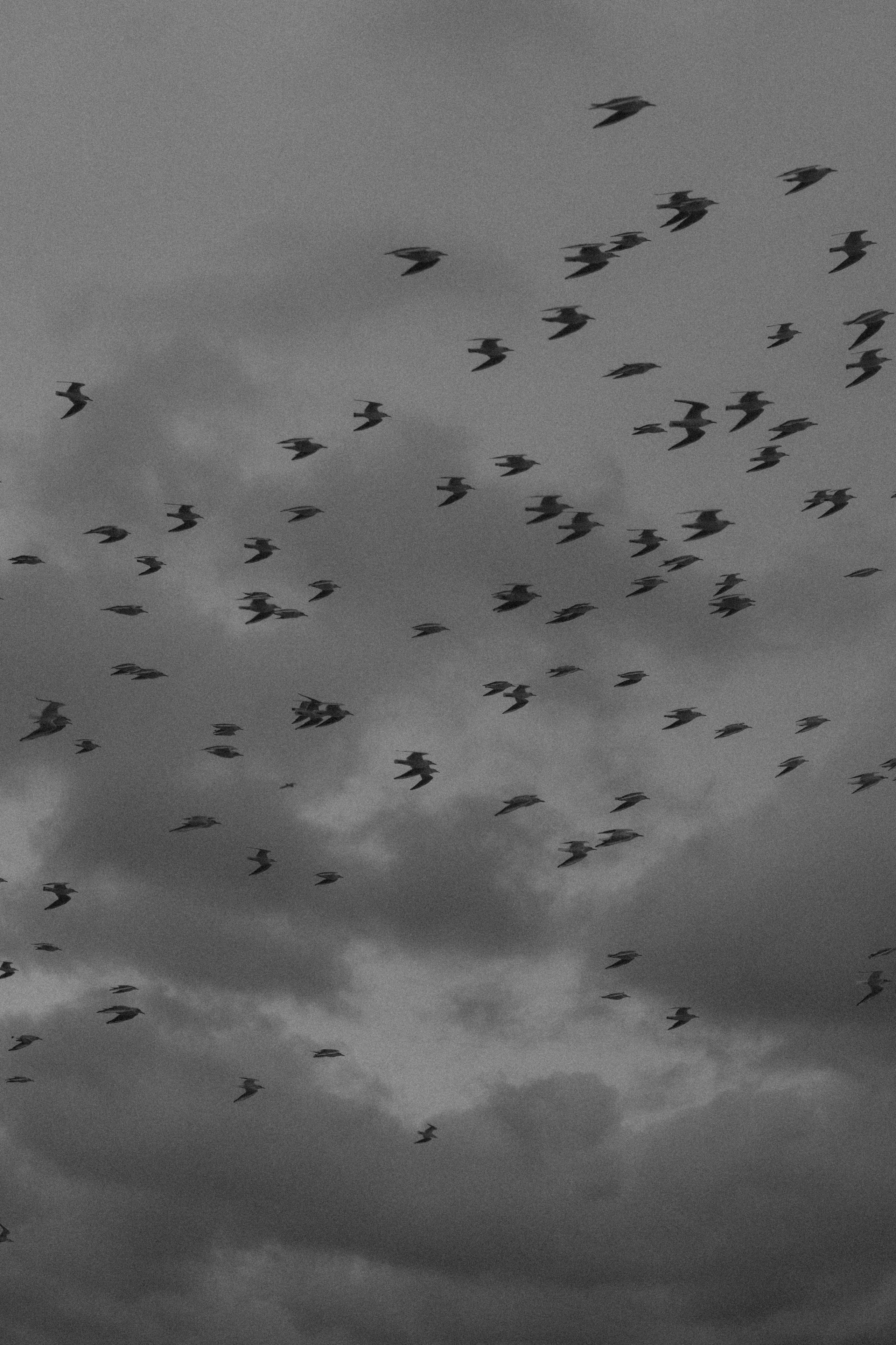 Окутанная южным ветром. Фотограф Дарья Филатова