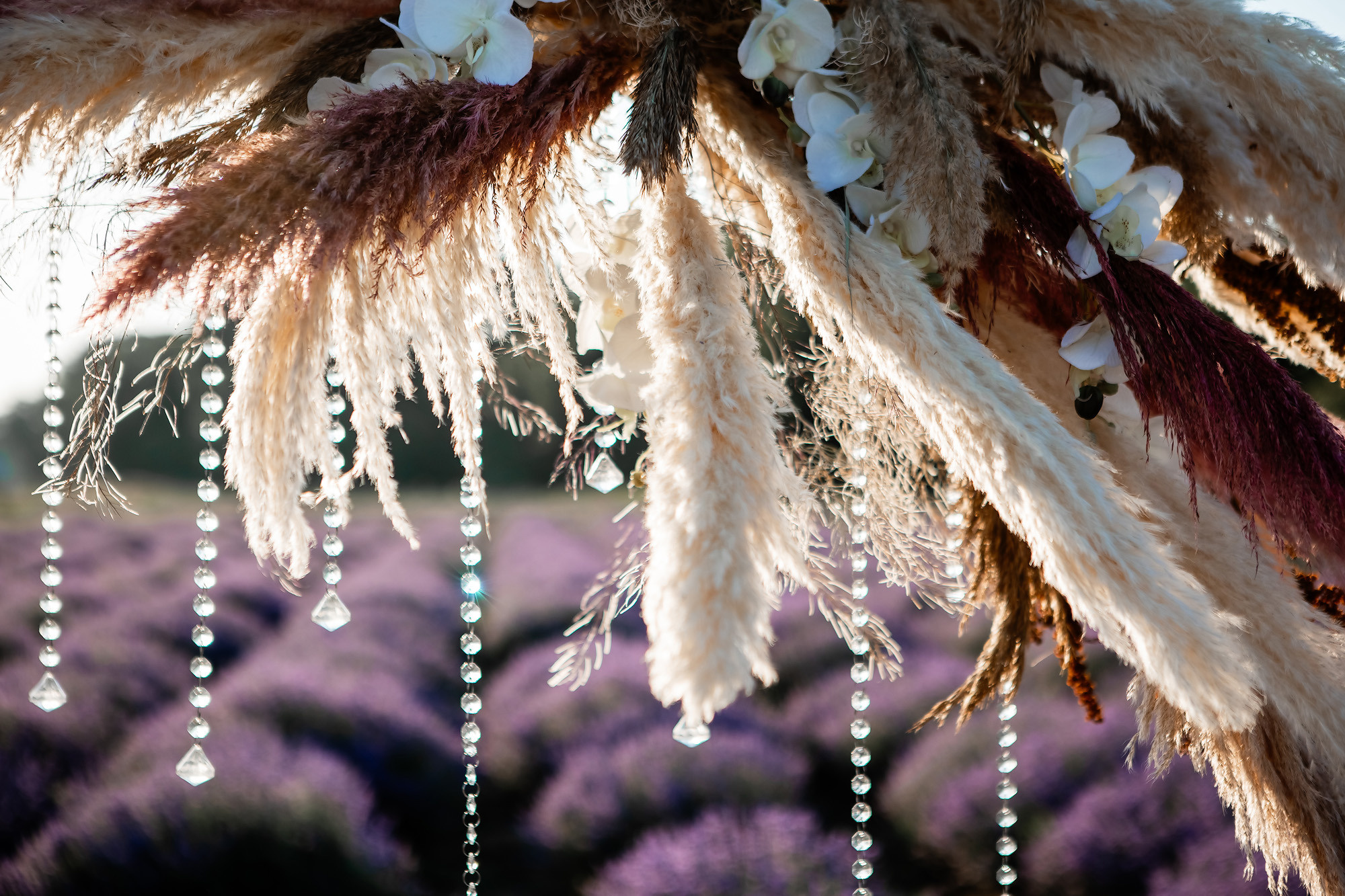 Вадим и Катя - свадебная выездная церемония и фотосессия в лаванде. Свадебный фотограф, фотосъемка в Крыму, Севастополе, Симферополе, Ялте