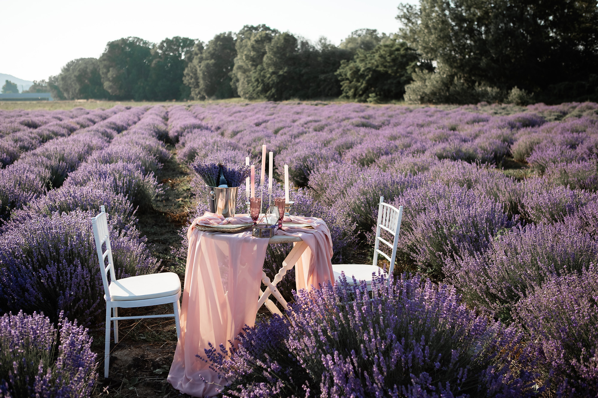 Вадим и Катя - свадебная выездная церемония и фотосессия в лаванде. Свадебный фотограф, фотосъемка в Крыму, Севастополе, Симферополе, Ялте