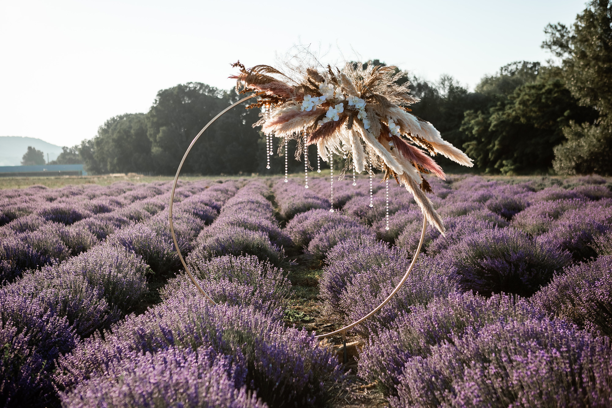 Вадим и Катя - свадебная выездная церемония и фотосессия в лаванде. Свадебный фотограф, фотосъемка в Крыму, Севастополе, Симферополе, Ялте