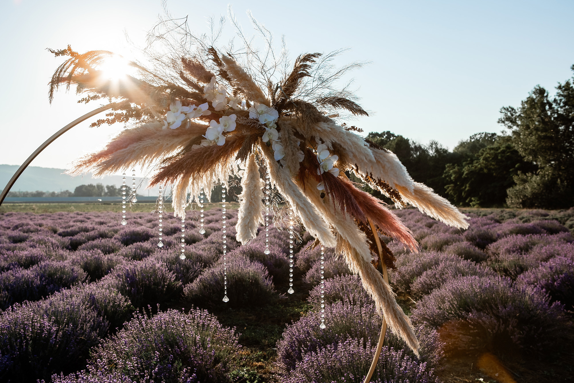 Вадим и Катя - свадебная выездная церемония и фотосессия в лаванде. Свадебный фотограф, фотосъемка в Крыму, Севастополе, Симферополе, Ялте