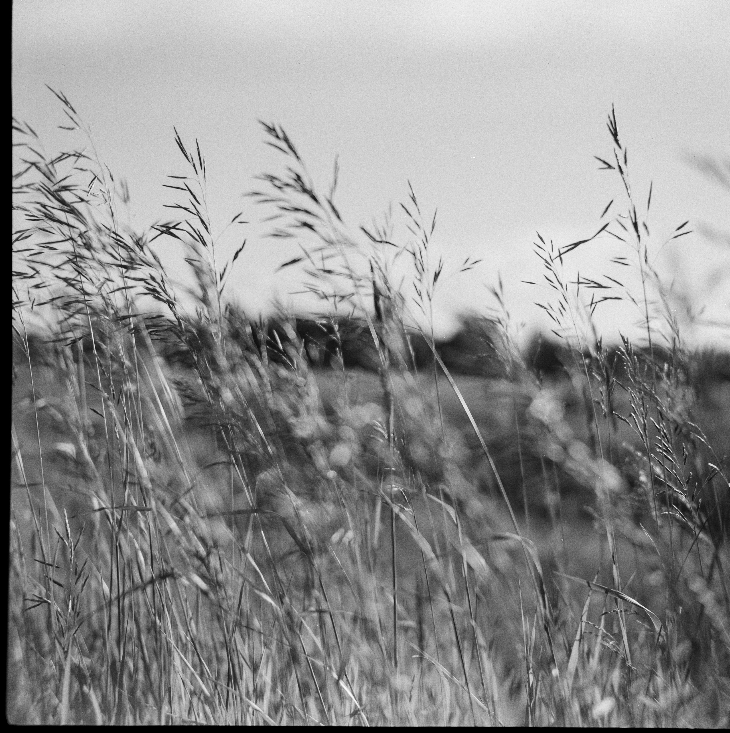 Sсhneider-Kreuznach Radionar 80mm f2.9