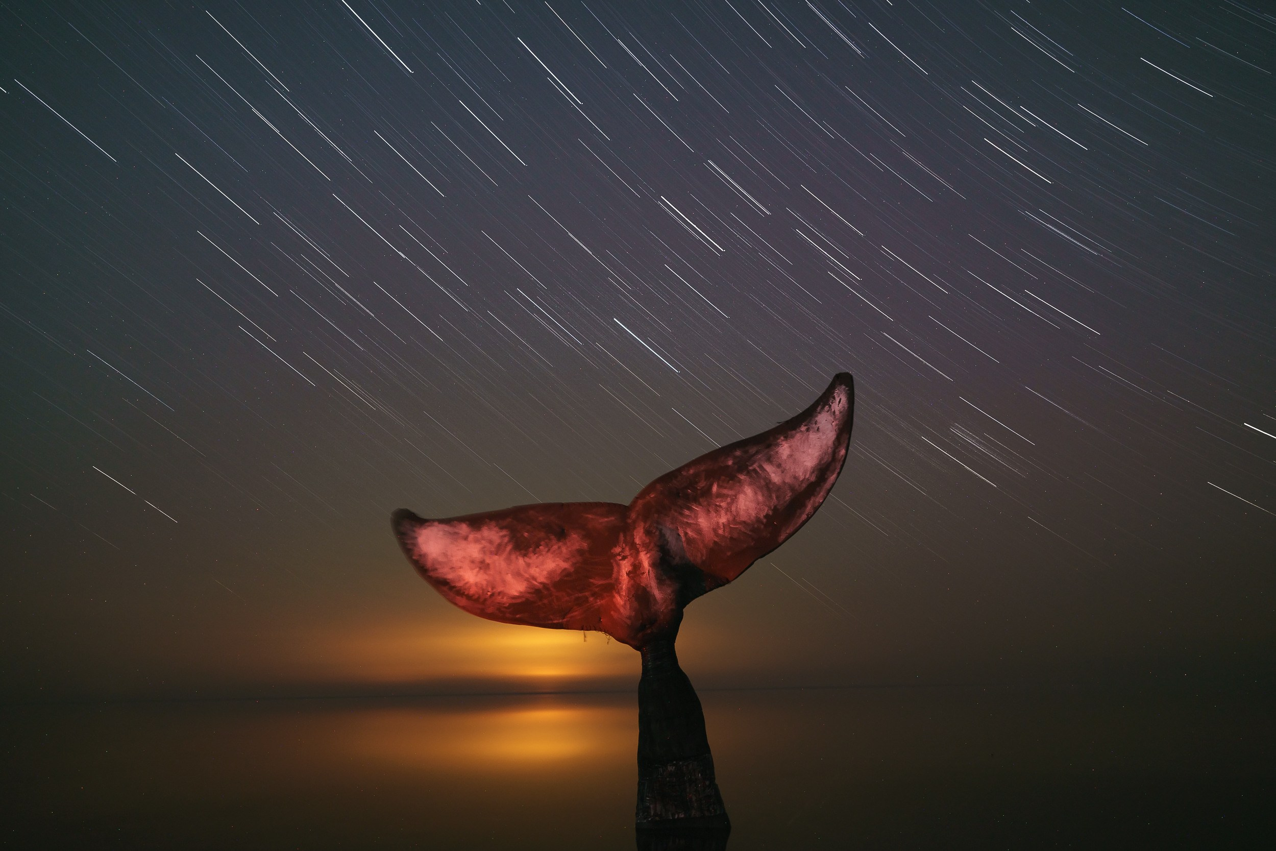 Учебный фототур на Эльтон. Июнь