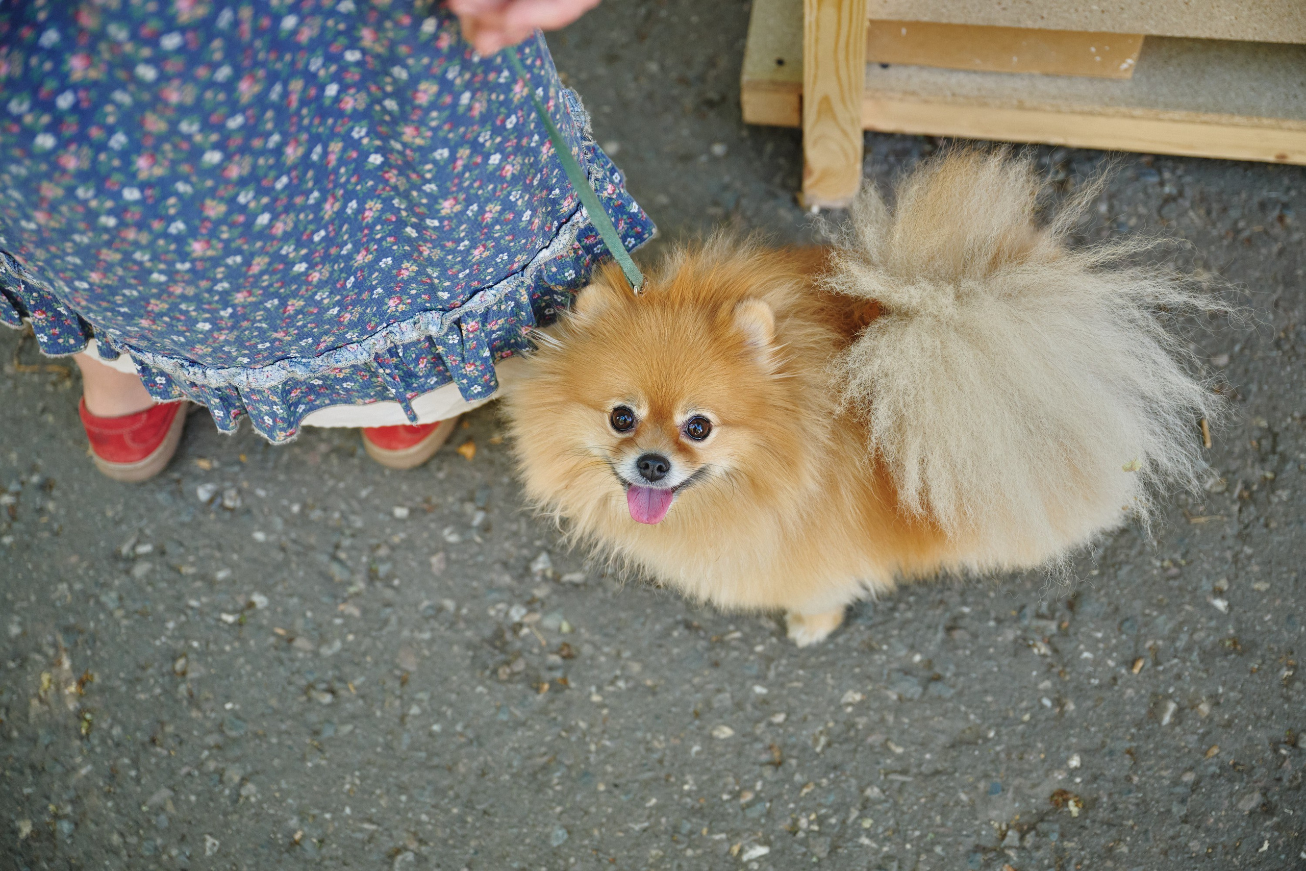 Ива фест 2025. Фотограф в Иваново: Каталожная съемка одежды и постельного белья, Wildberries