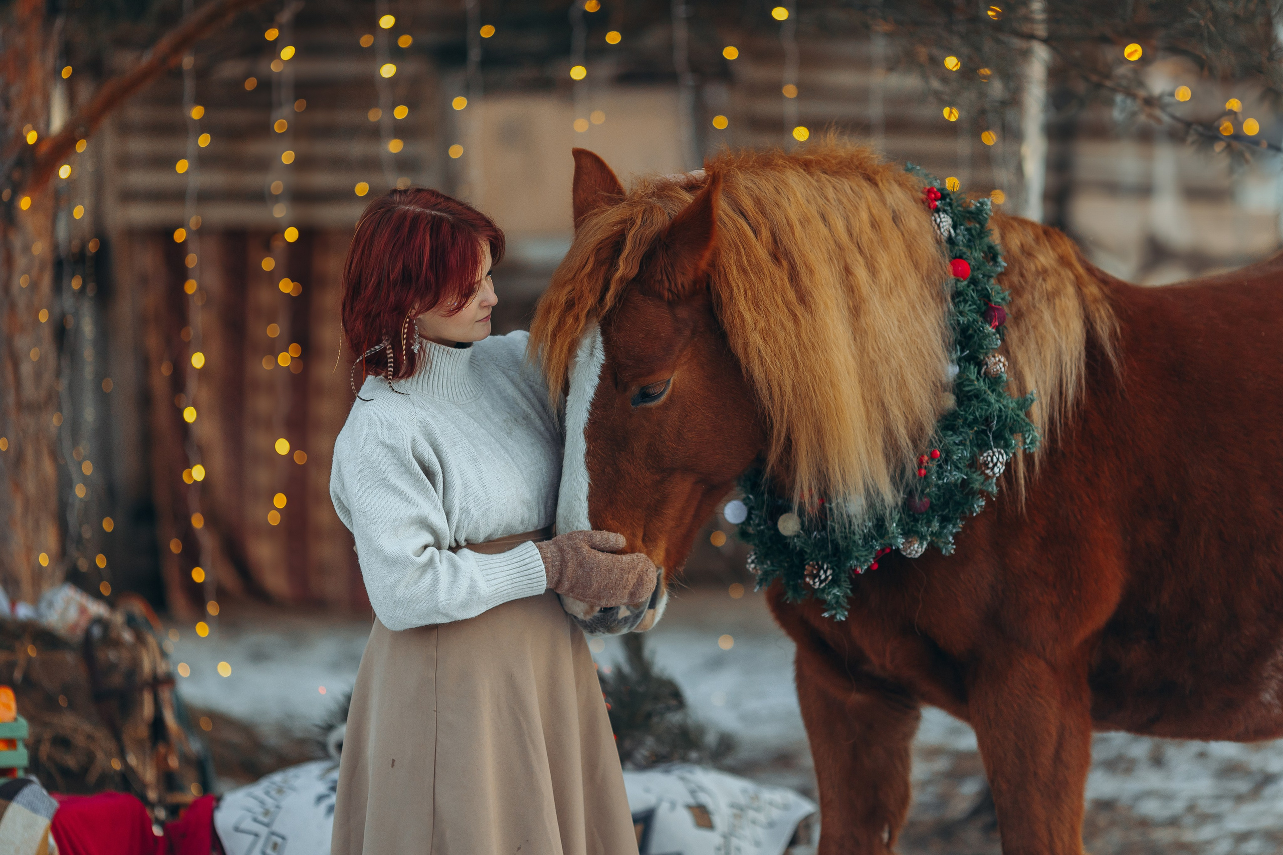 Тариф новогодний 2024. Анна Молчанова конный фотограф в Тюмени | фотосессии с лошадьми Тюмень