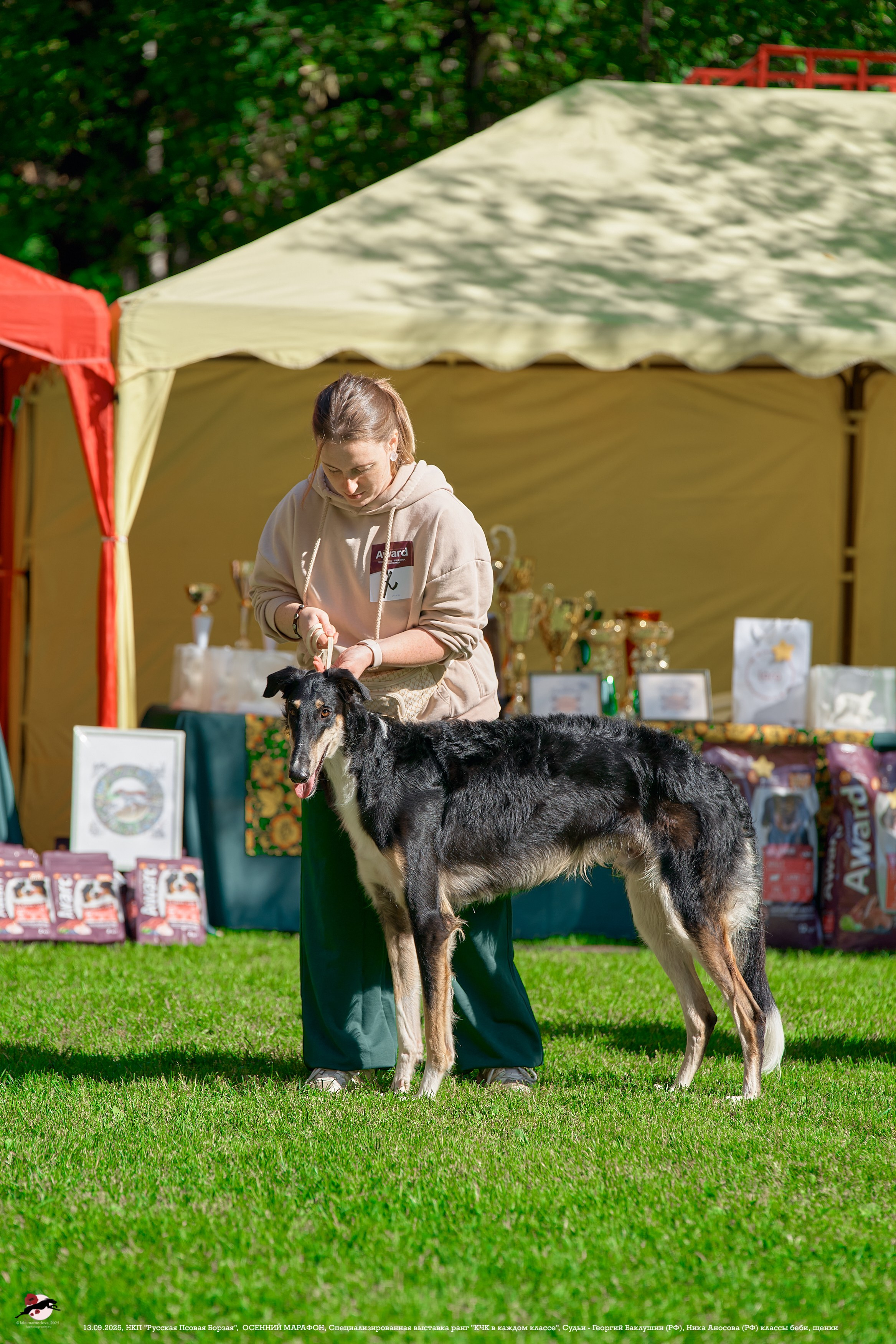 ОСЕННИЙ МАРАФОН | Специализированная выставка породы Русская Псовая Борзая ранг "КЧК в каждом классе"