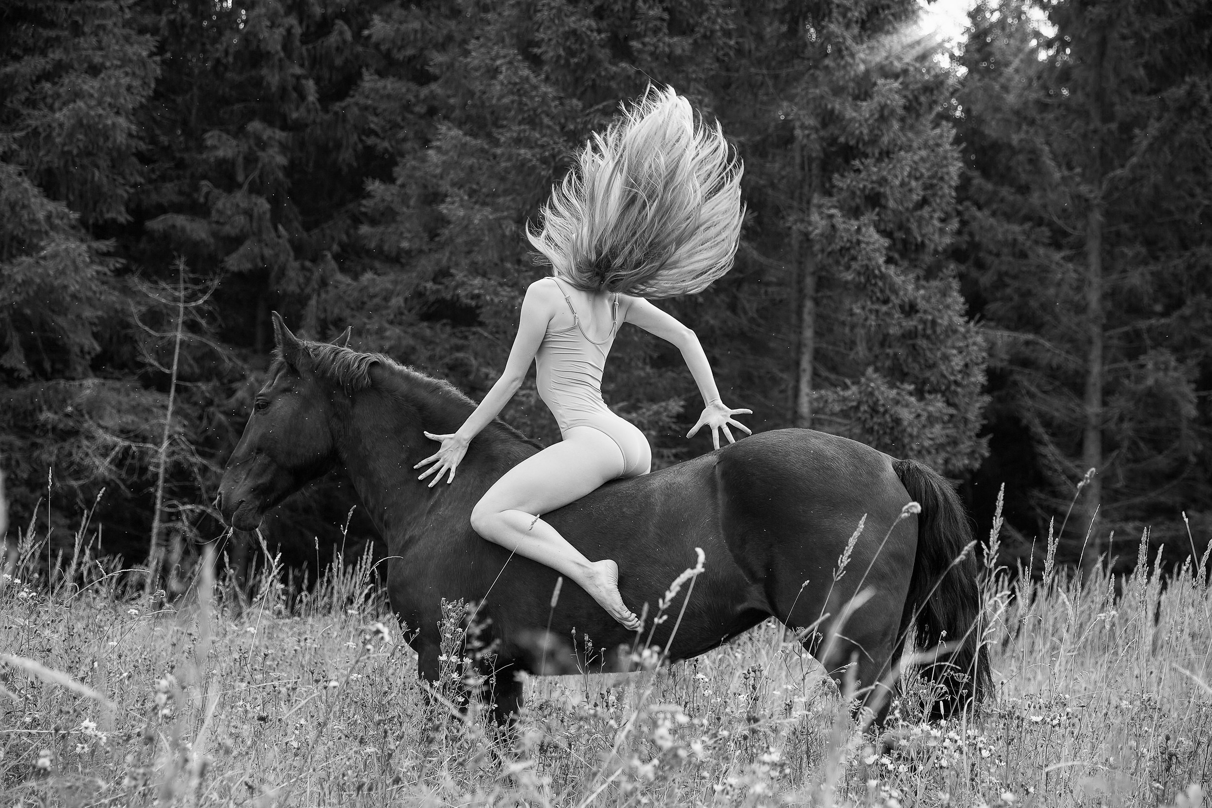 Балет и лошади, фотосессия «ГРАЦИЯ и СИЛА-1» Фотограф Михаил Семенов г. Ярославль