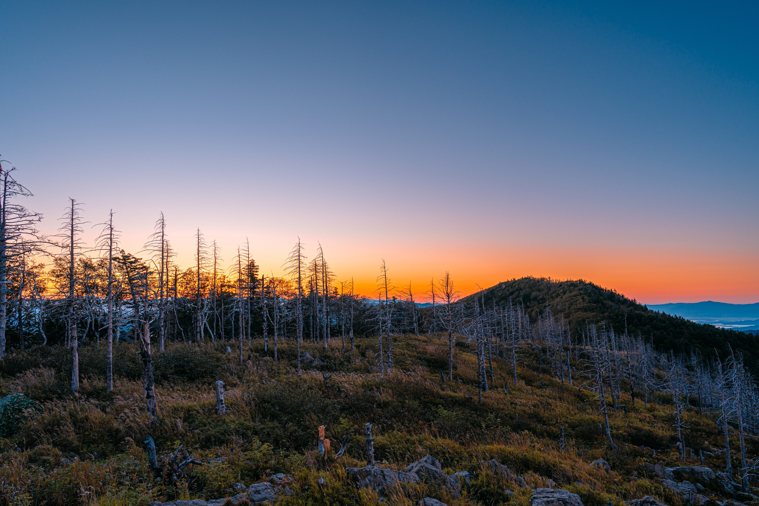 Гора Литовка (Фалаза). Иван Зайцев (IZIART) — создание культурного кода через фото и видео