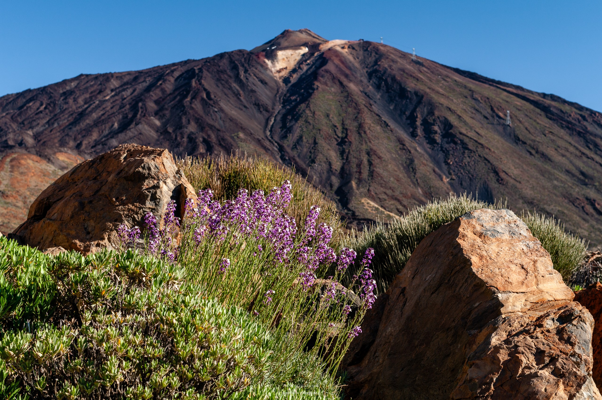 В кальдере вулкана. Авторские стильные фотокартины