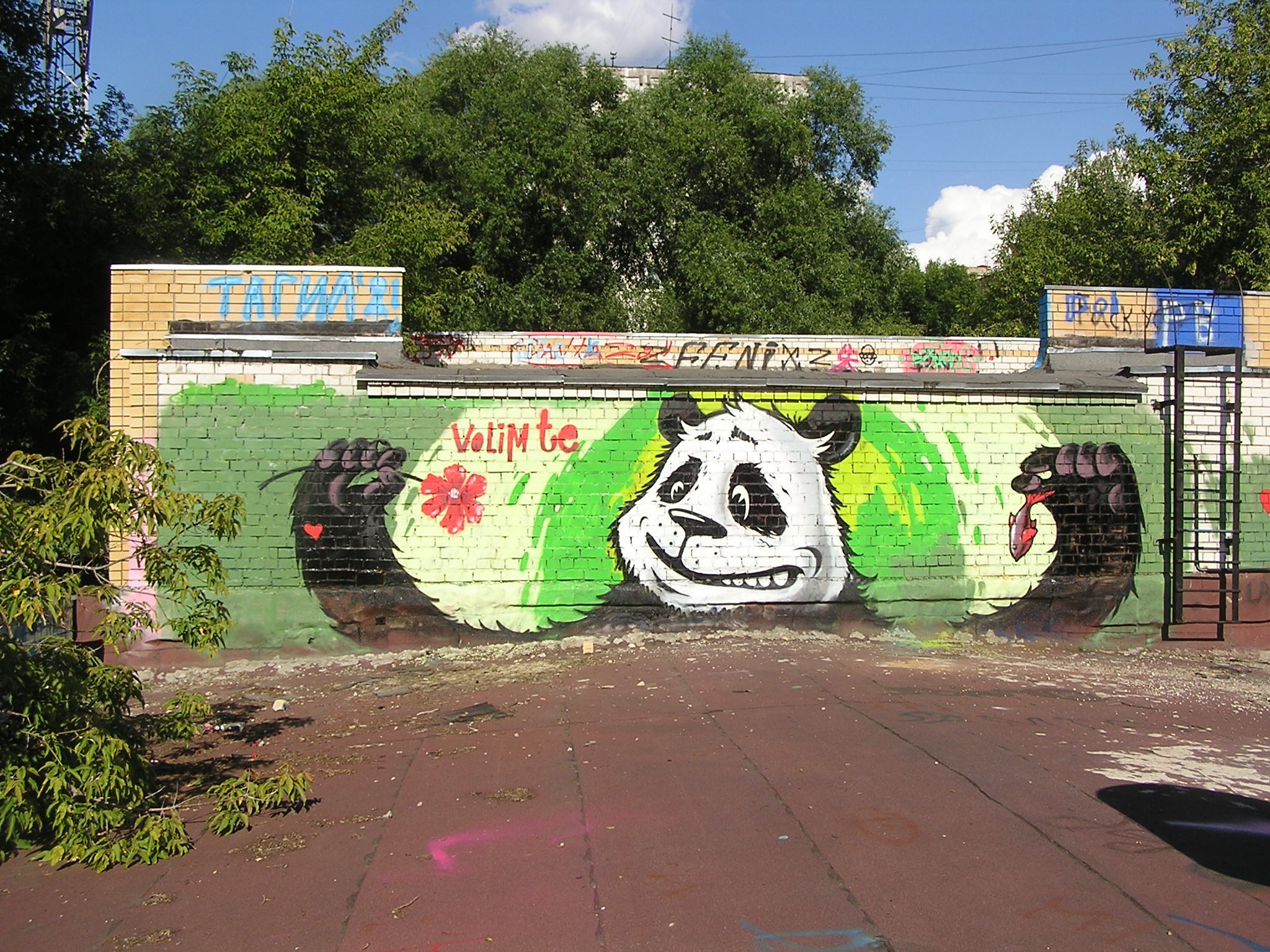 Graffiti. Alexander Stan Shimanov