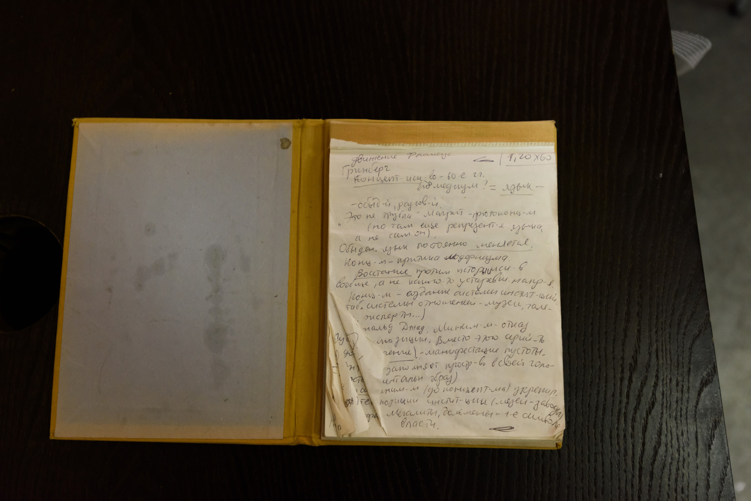 PSYCHO. Ilmira Bolotyan — Interdisciplinary Artist and Curator