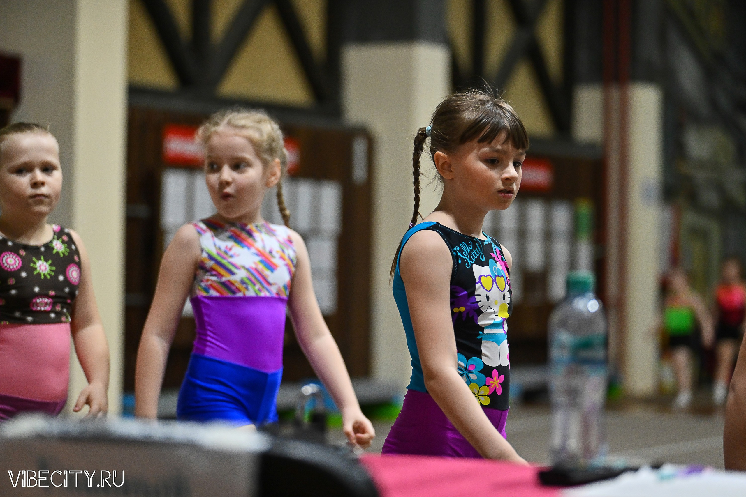 Контрольная тренировка по спортивной гимнастике. VIBECITY.RU Вайб Сити Ру Фоторепортажи Фотоотчеты Калининград