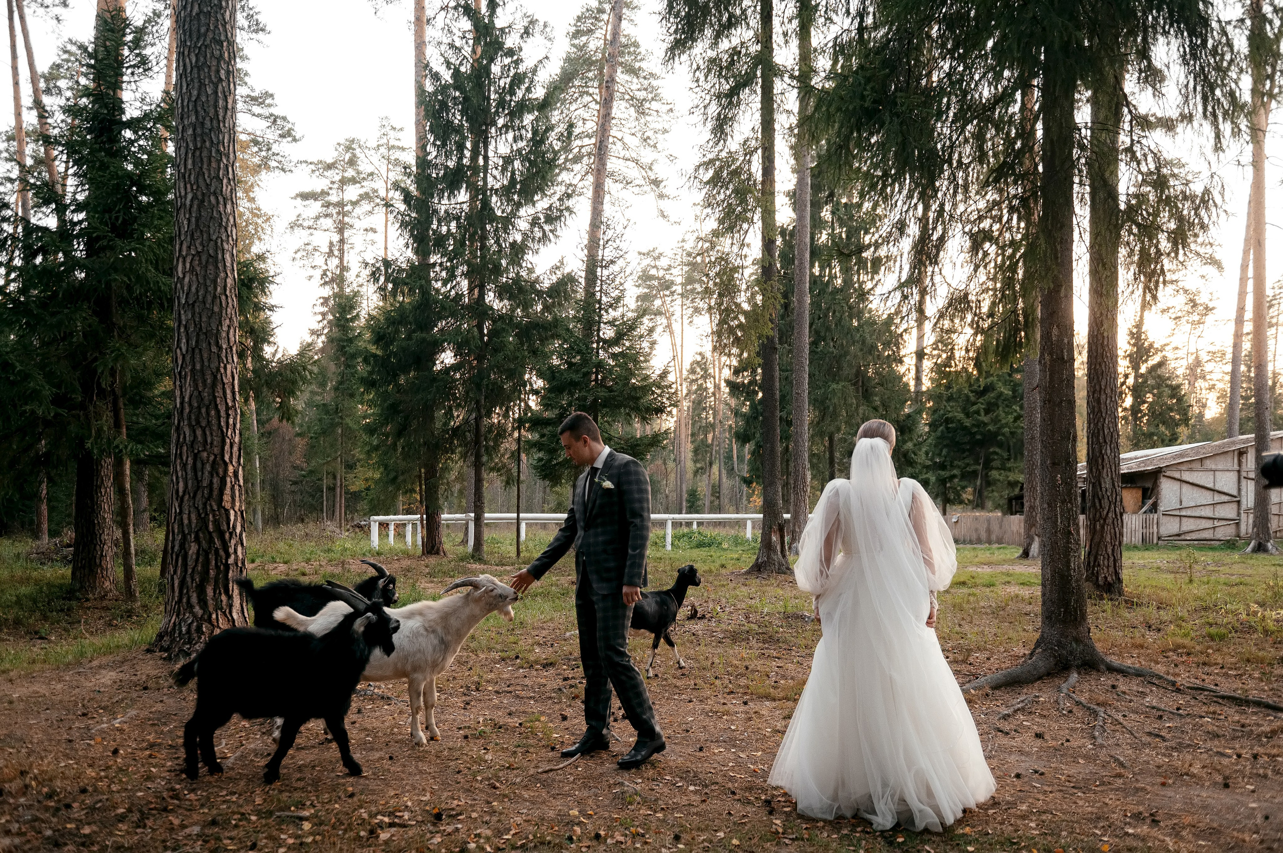 Отели подмосковья, где можно провести свадьбу. Свадебный и семейный фотограф Виктория Носачёва. Щелково, Москва и МО