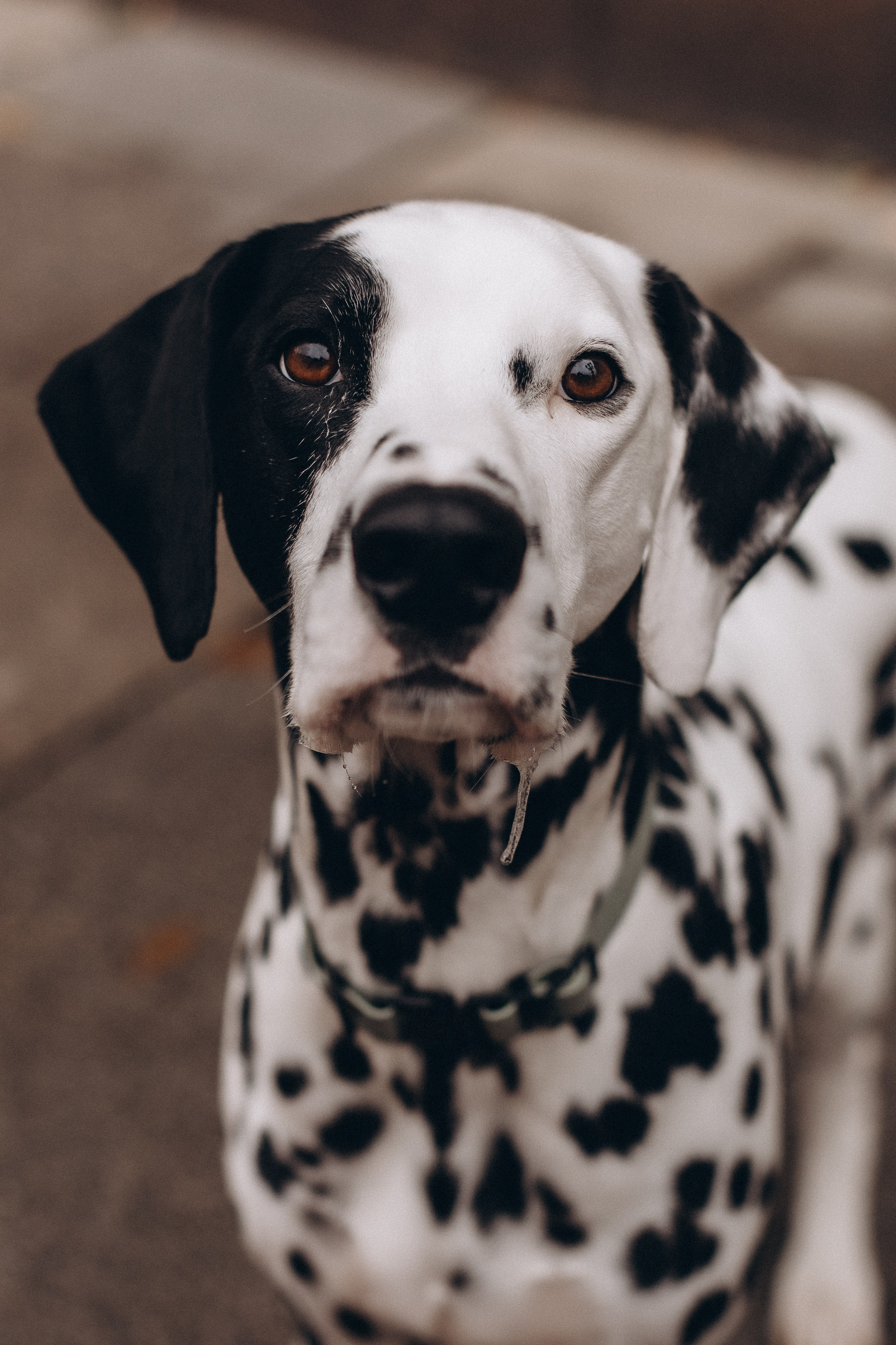 Таня и Эскель