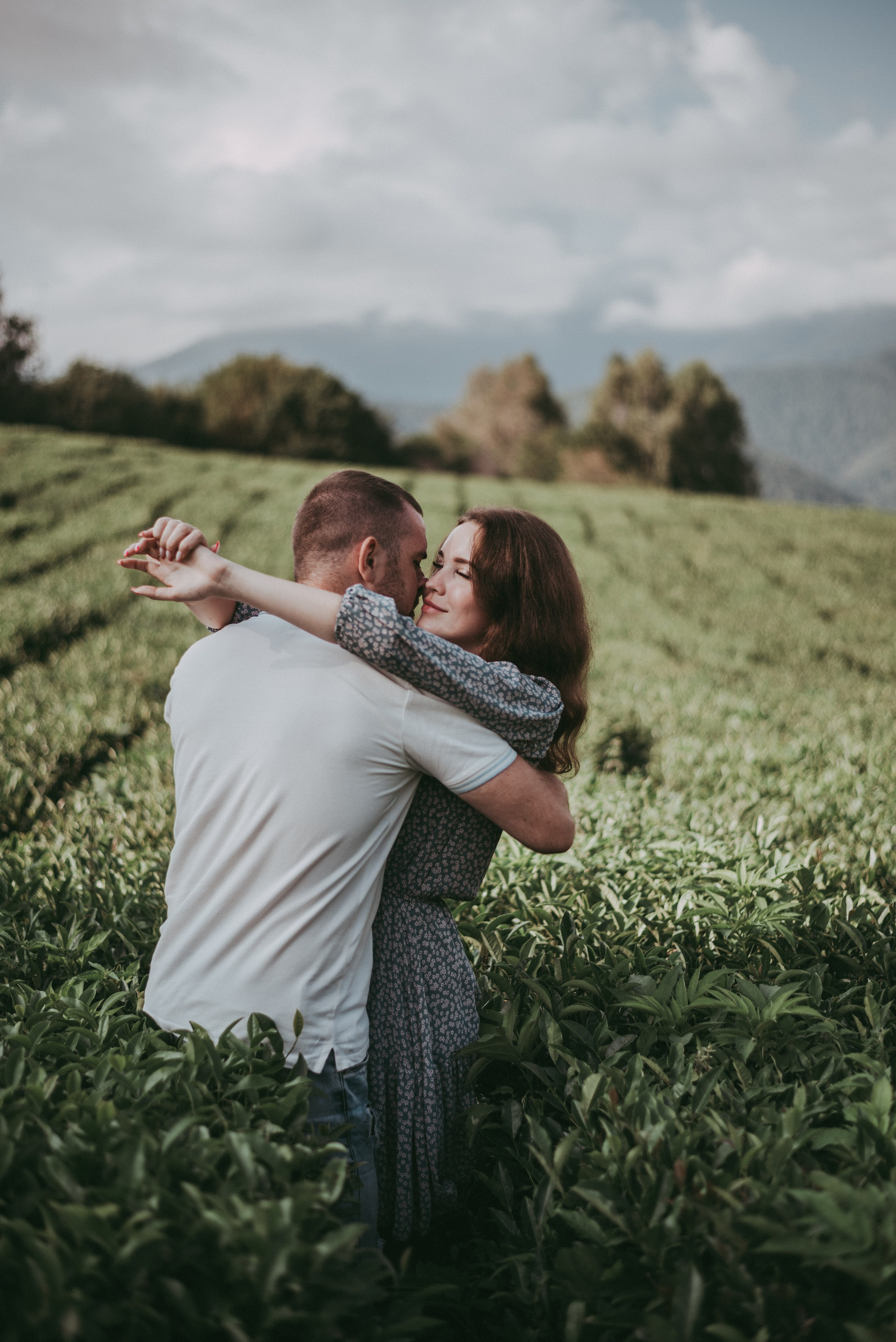 Чайные плантации Солох-аул. Фотограф в Сочи — Маргарита Поганова