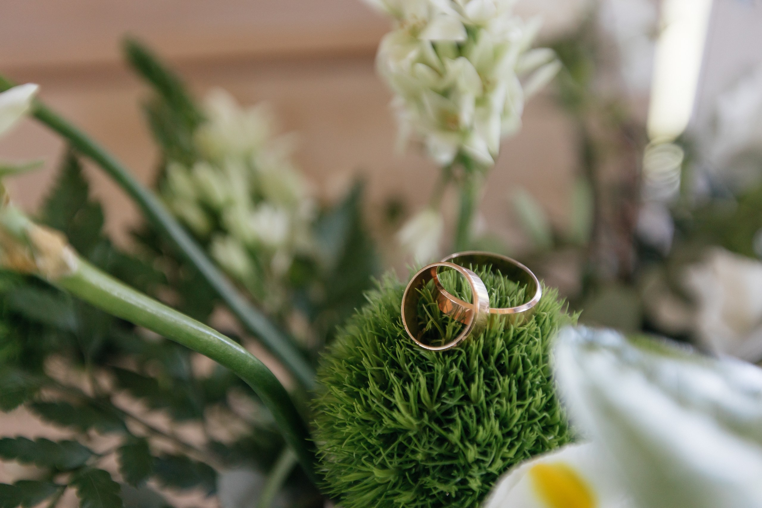 А & Ю | Камерная свадьба под открытым небом. Свадебный фотограф Настя Шелл г. Череповец